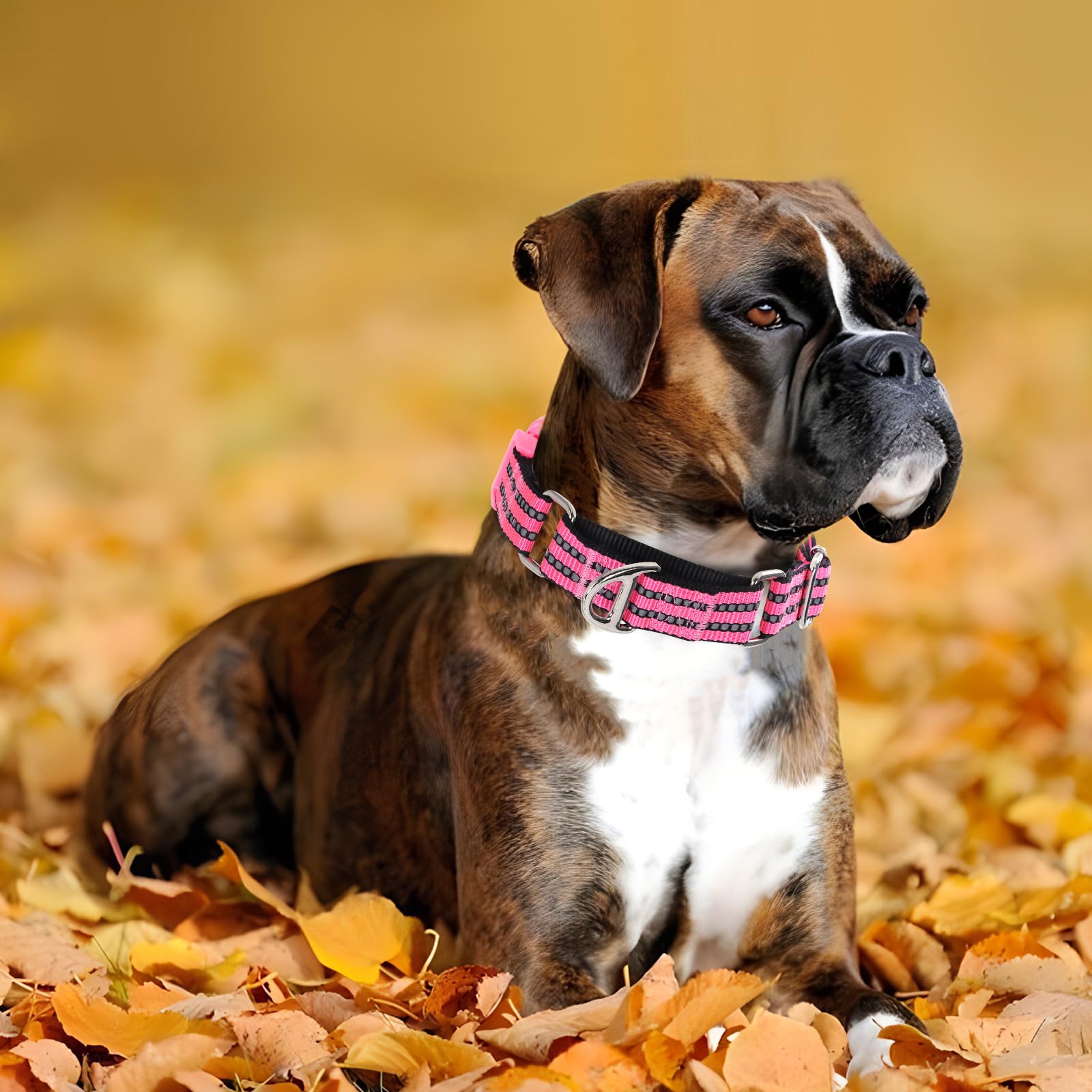 Onefojojo Martingale Dog Collars Reflective Nylon Dog Collar With Quick Release Buckle Adjustable Training No Slip Dog Collar (L