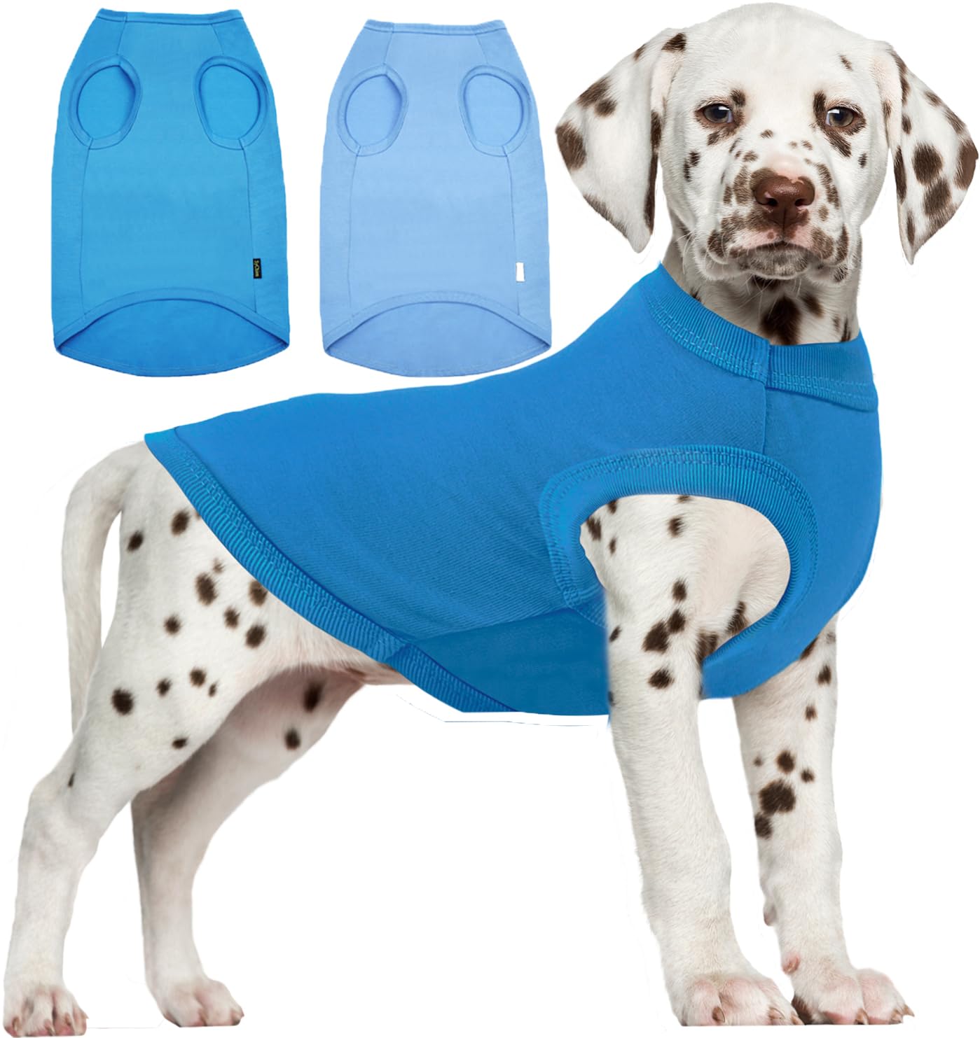 Sychien Dog Blank Blue Shirt,Boy Girl Dogs Medium Tee Shirts,Plain French Bulldog T-Shirt,M Blue Royal