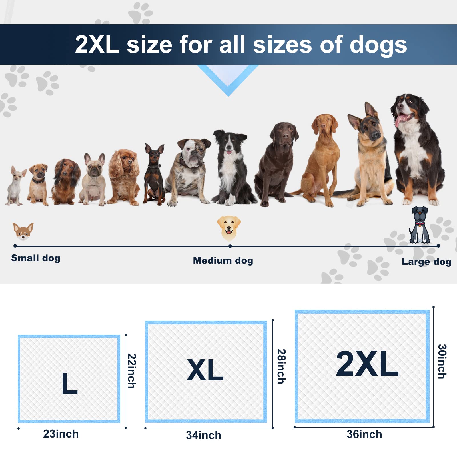 Boscute XXL Pet Training Pads - 30"x36", Heavy Absorbent, Leak-Proof, Quick Dry, Blue, Model CWD-FT, Disposable for Dogs and Cats