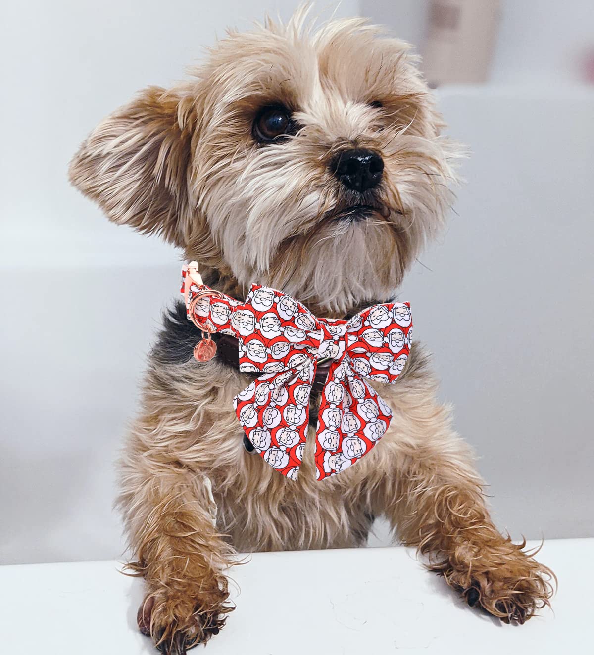 Dogwong Cotton Dog Collar With Bowtie, Stylish Christmas Red Plaid Dog Collar Adjustable Puppy Necklace For Small And Medium Dog