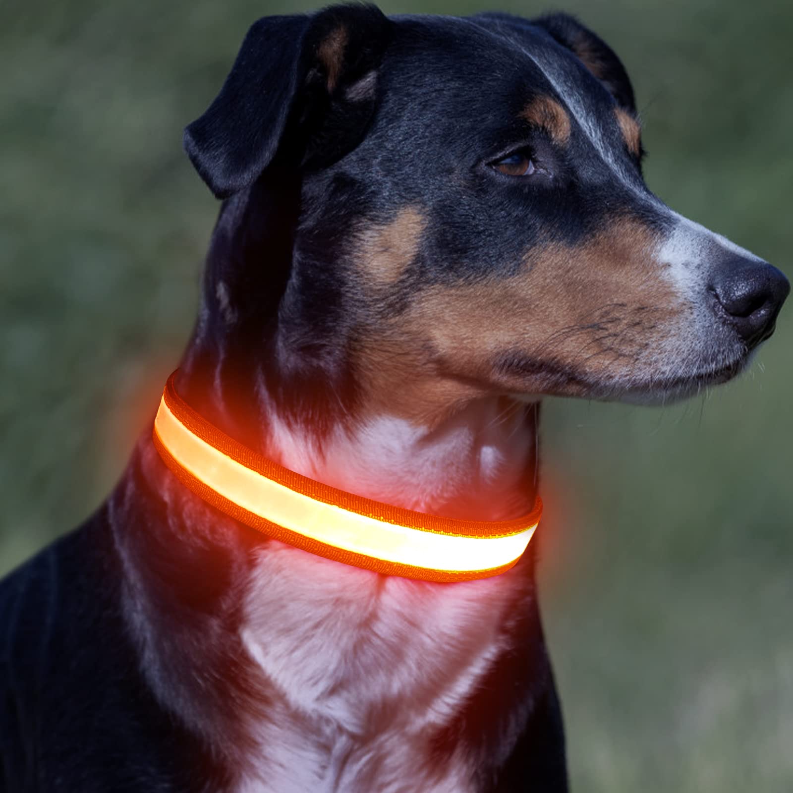 Vizpet Led Dog Collar, Light Up Dog Collar Adjustable Usb Rechargeable Super Bright Safety Light Glowing Collars For Small Dogs(Small,Orange)