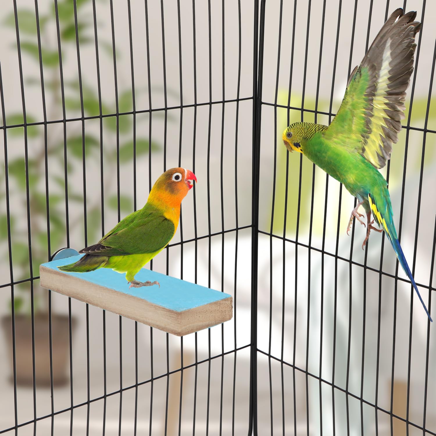 Hypeety Parrot Wooden Perch Platform Playground Macaw African Greys Budgies Parakeet Cockatiels Conure Macaw Finch Cage Shelf Toy Cage Accessories（Random Color） (A)