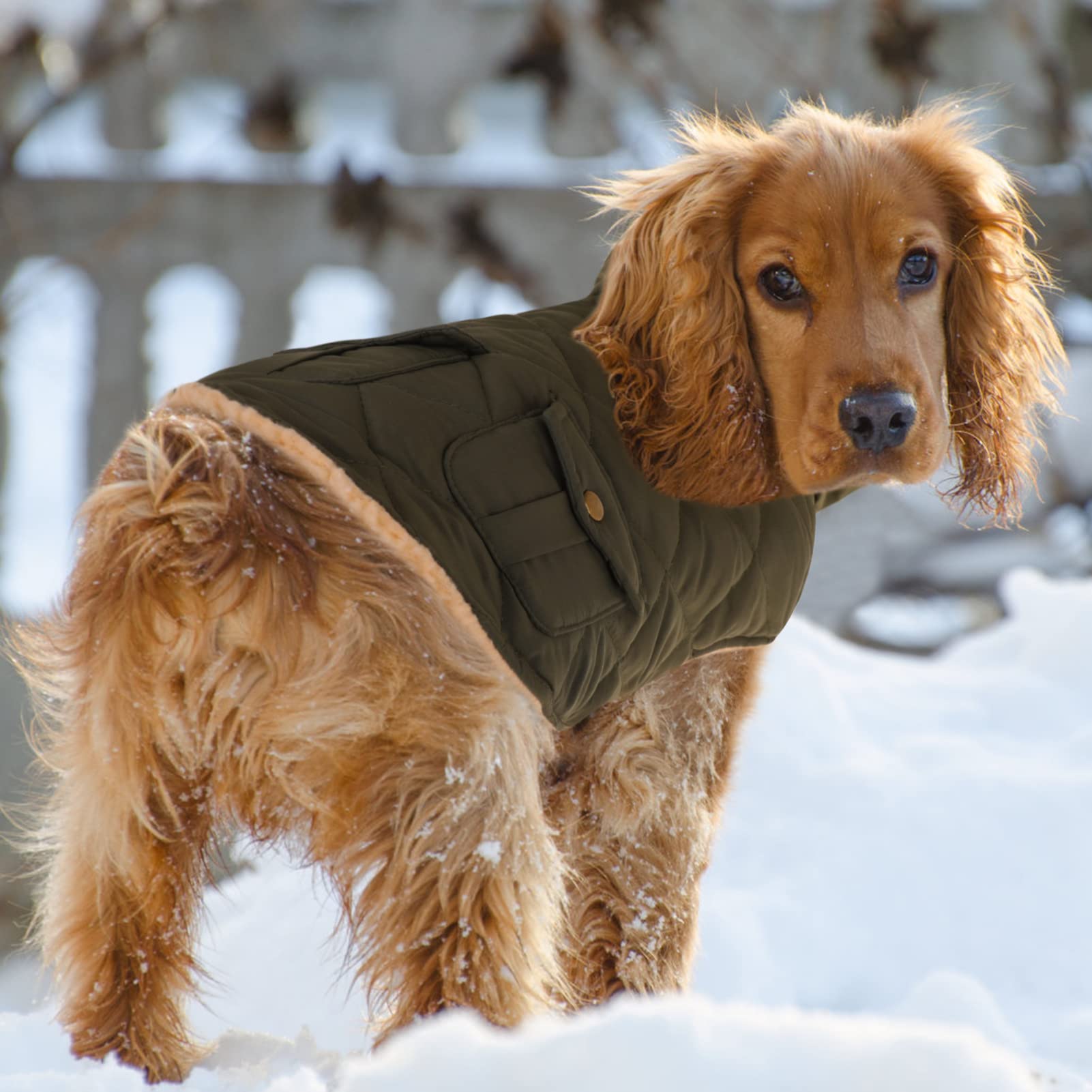 Queenmore Cold Weather Dog Coat, Winter Quilting Dog Jacket Ultra Warm Thick Plush Lining With Storage Pockets (Green, X-Small)