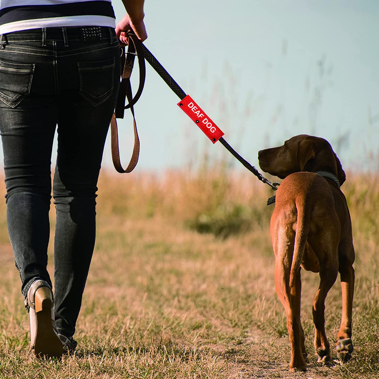 Hearing Impairment Dog Leash Sleeve Deaf Dog Dog Leash Wrap Wrap Alert Hanging Id Patch Tag Pet Birthday Gift(Deaf Dog-Sleeve)