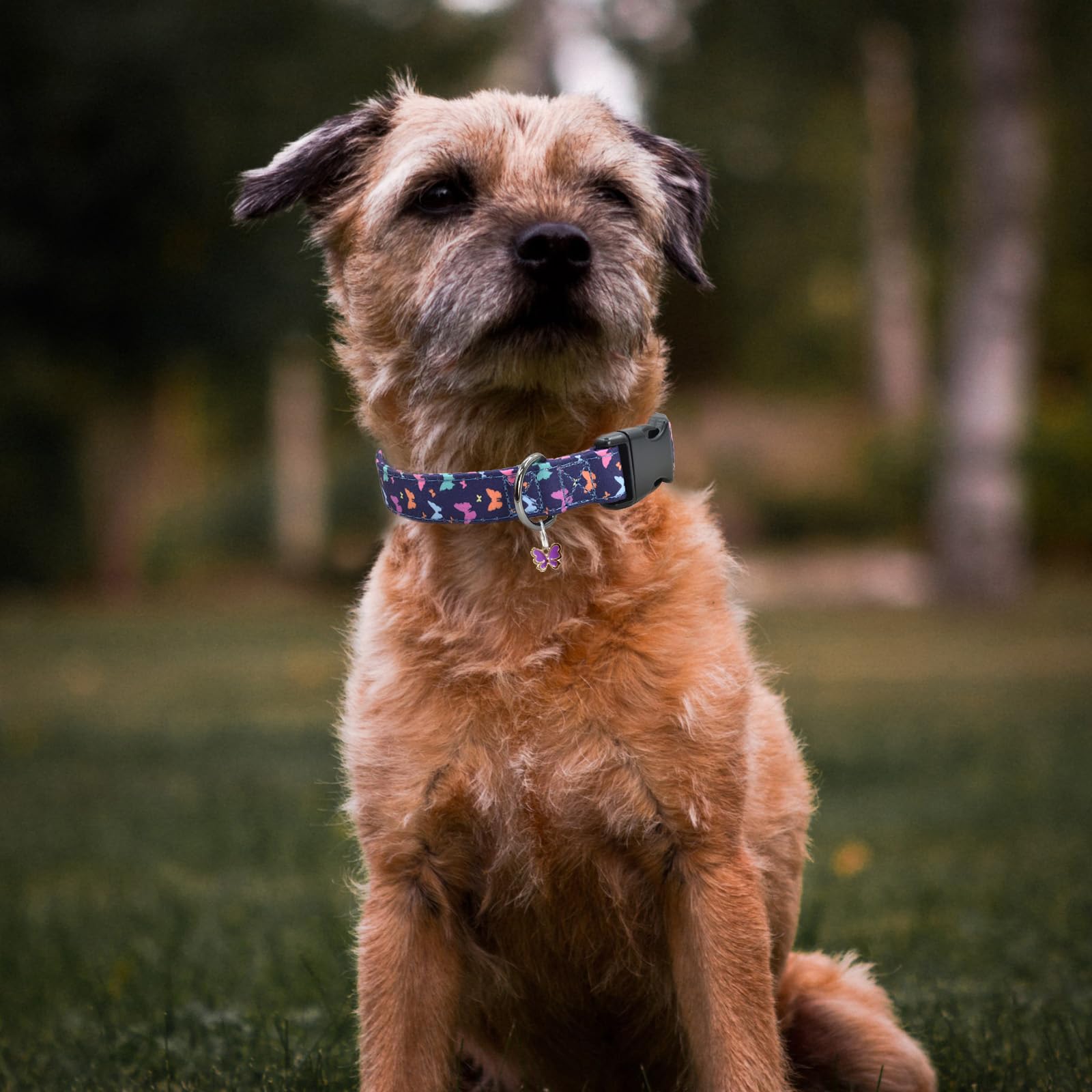 Flower Patterns Dog Collar With Accessories, Soft Cotton Dog Collars For Small Medium Large Female And Male Dogs(Butterfly2 L)