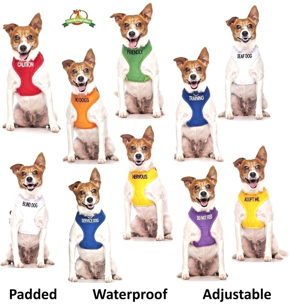 Deaf Dog Dexil Friendly Dog Collars Color Coded Dog Accident Prevention Leash 6Ft/1.8M Prevents Dog Accidents By Letting Others Know Your Dog In Advance Award Winning