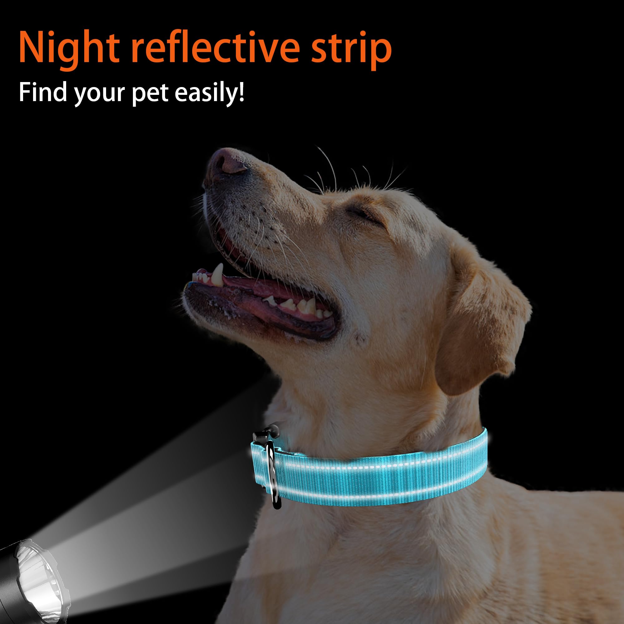 Dog Collar With Qr Code, Reflective Pet Collar, Soft Neoprene Padded & Safety Locking Buckle Adjustable Puppy Collar (Xs,Blue)