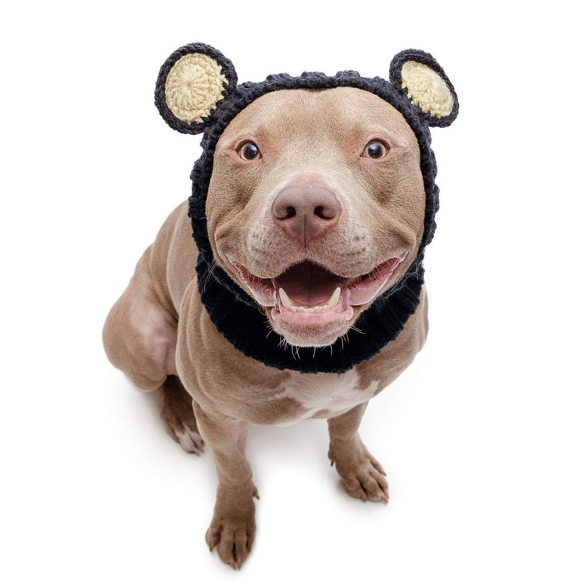 Zoo Snoods Black Bear Costume for Dogs, Medium - Warm No Flap Ear Wrap Hood for Pets, Dog Outfit for Winters, Halloween, Christm