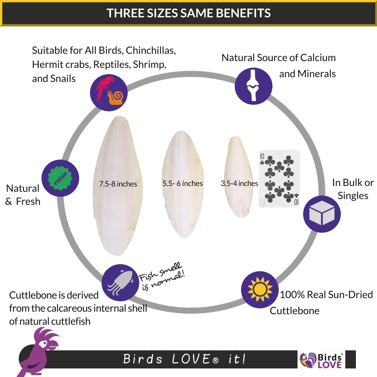 Birds LOVE Natural Cuttlebone - Premium Calcium & Trace Mineral Supplement for Avian Species, Tortoises, and Snails - Pure Cuttl
