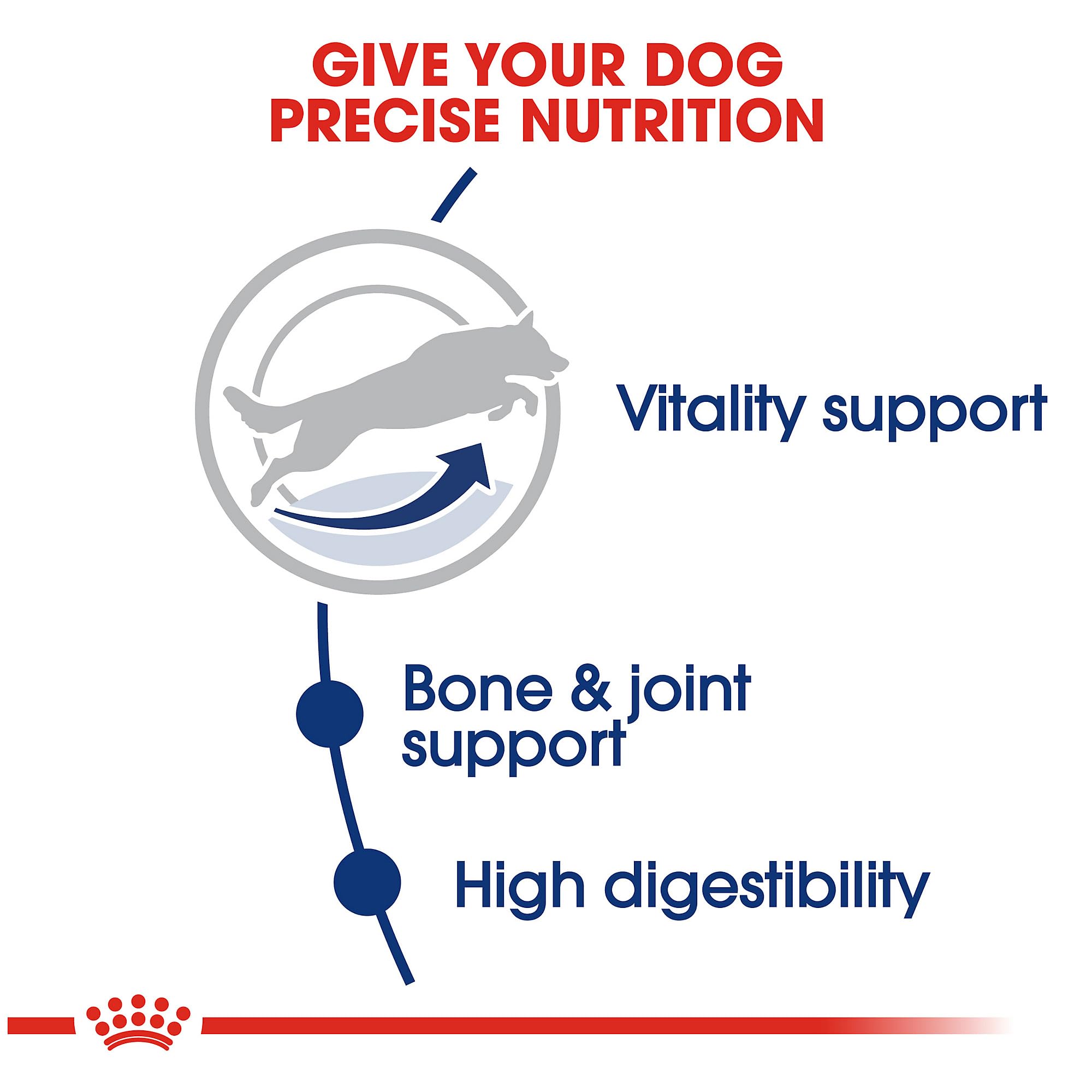 Royal Canin Large Adult 5+ Dry Dog Food for Older Dogs, 30 lb bag