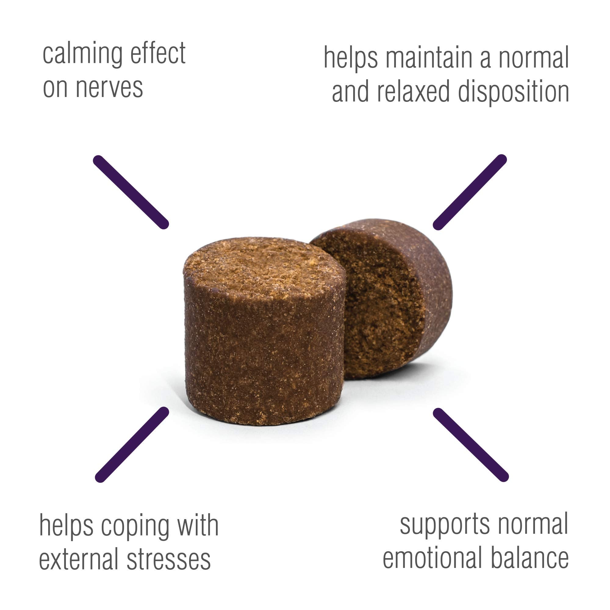 VetIQ Calming Support Supplement for Dogs, Anxiety Supplement Soft Chews,1 Count (Pack of 90)