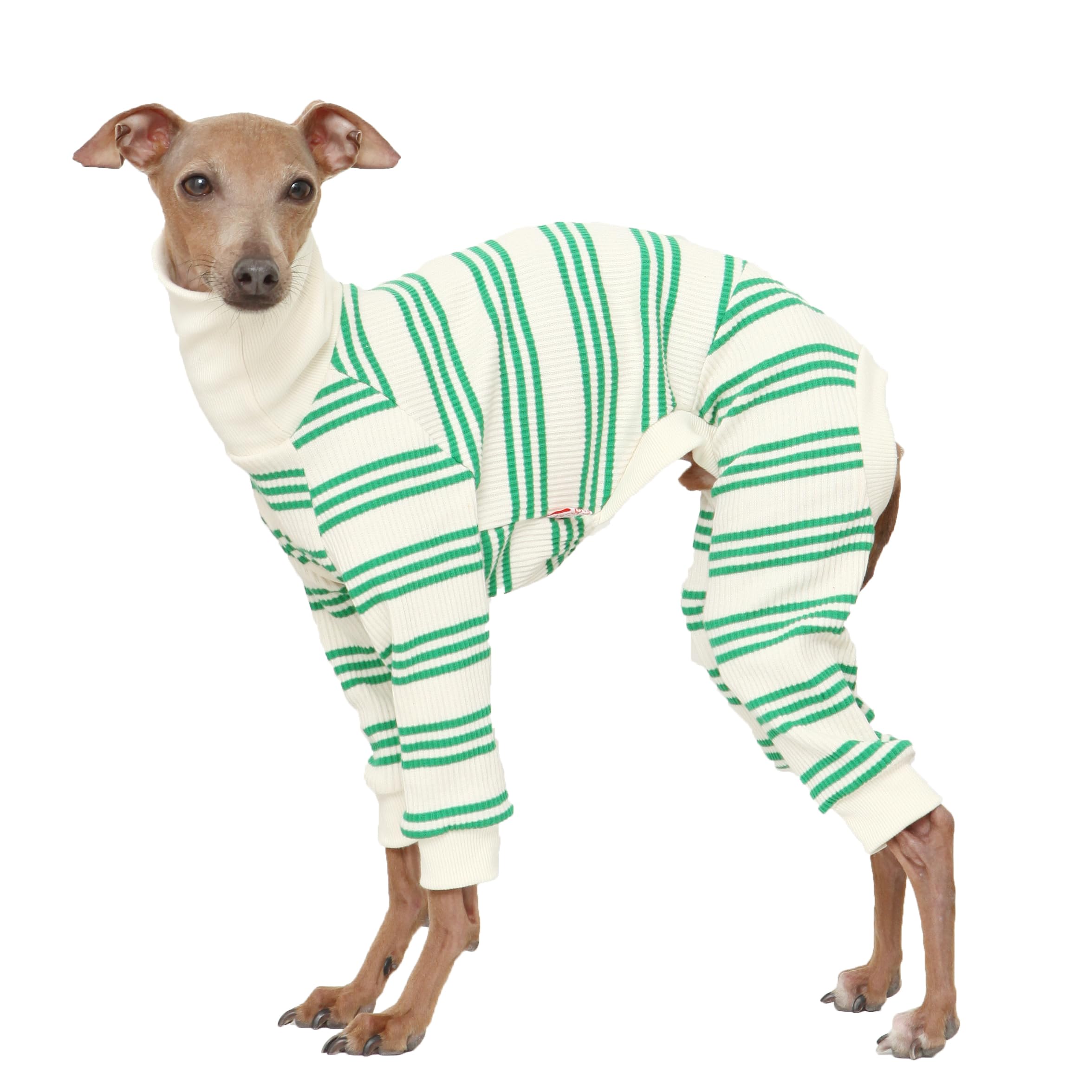 D Doggy Star Italian Greyhound Clothes Soft Stretchy Onesie Refined Stripe Outfit Whippet For Dog Coat (2Xl,Onsi Green Str)
