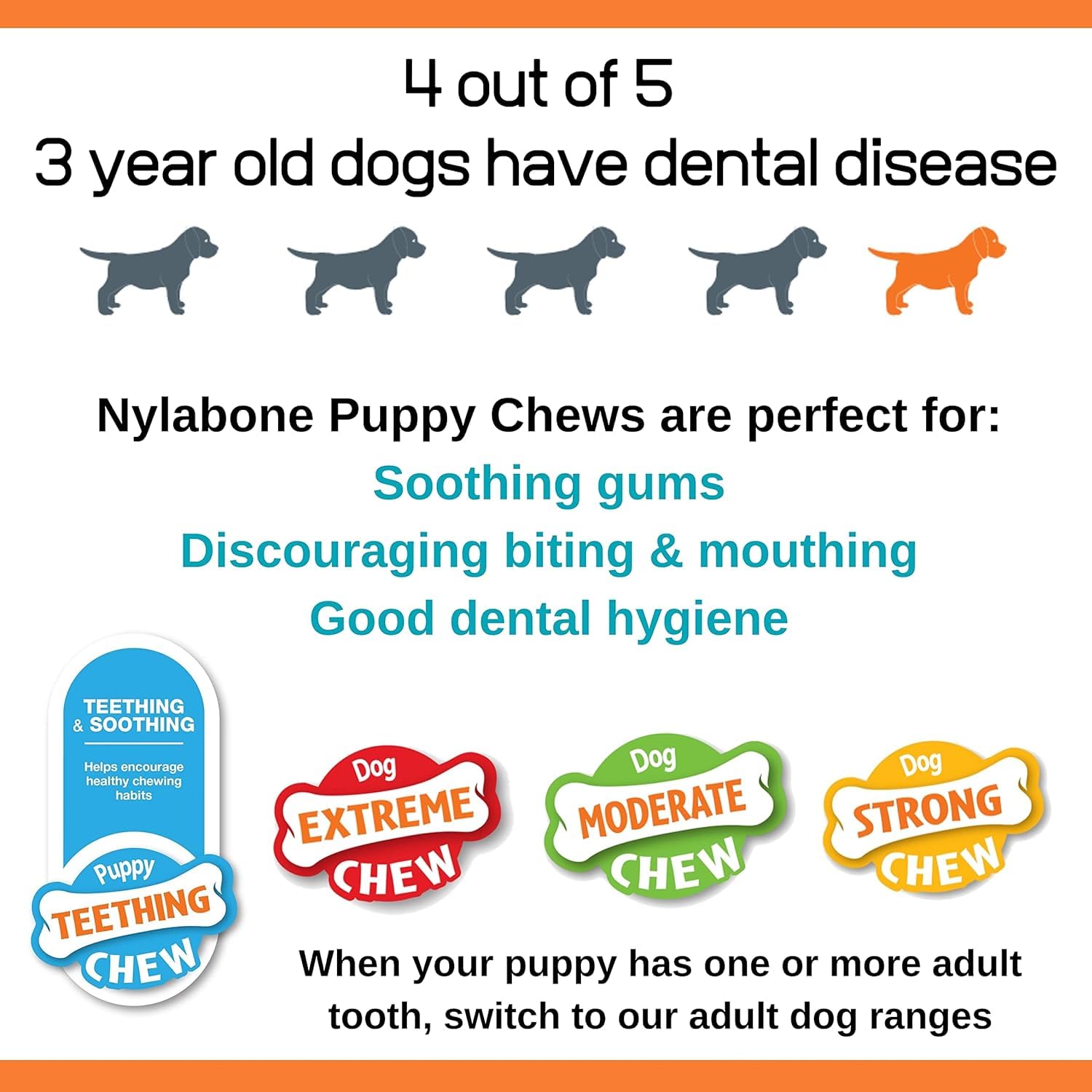 Nylabone Rubber Teether Puppy Chew Toy, Teething Toys for Puppies, Vanilla Flavor, Small - Up to 25 lbs, 1 Count