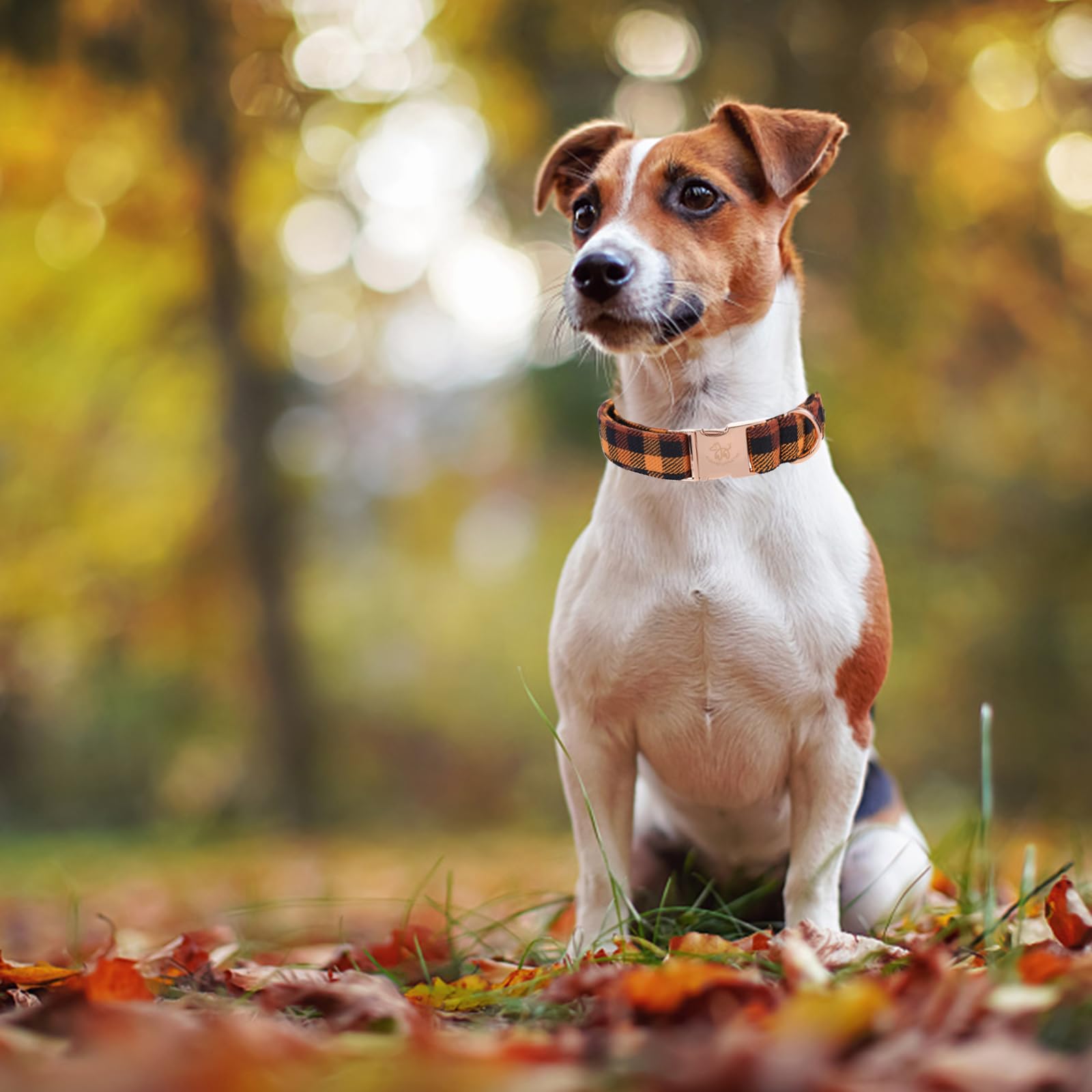 Elegant Little Tail Fall Dog Collar, Autumn Pet Collar Durable Yellow Plaid Dog Collars Male Or Female Holiday Pet Gift Adjustab