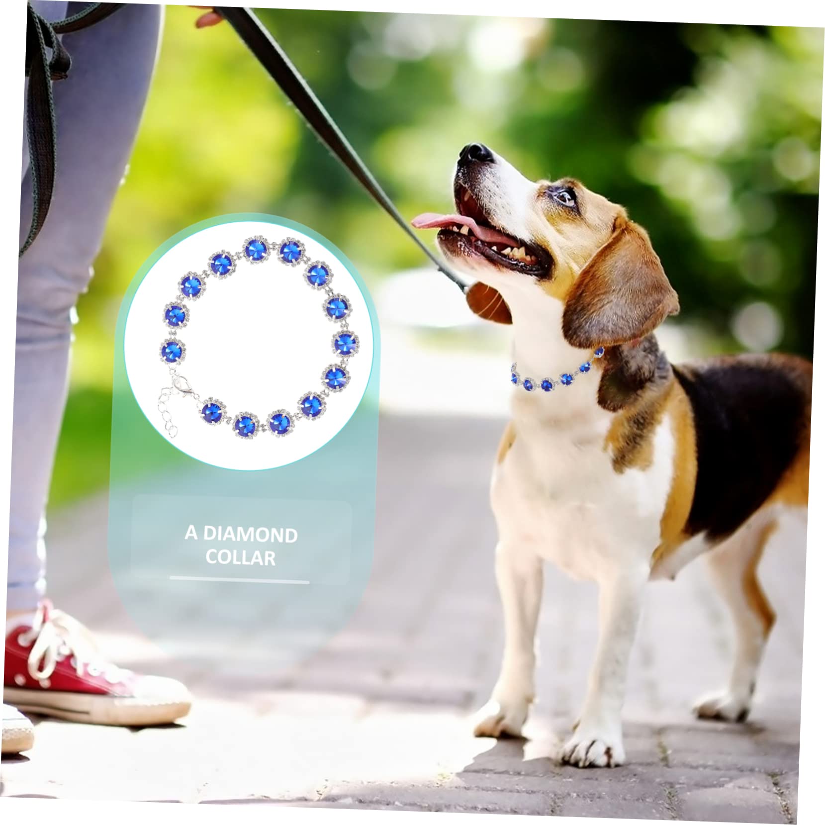 Pretyzoom Water Crystal Pet Necklace Dog Collar Decorative Small Puppy Accessory Blue S Safe For Pet Skin