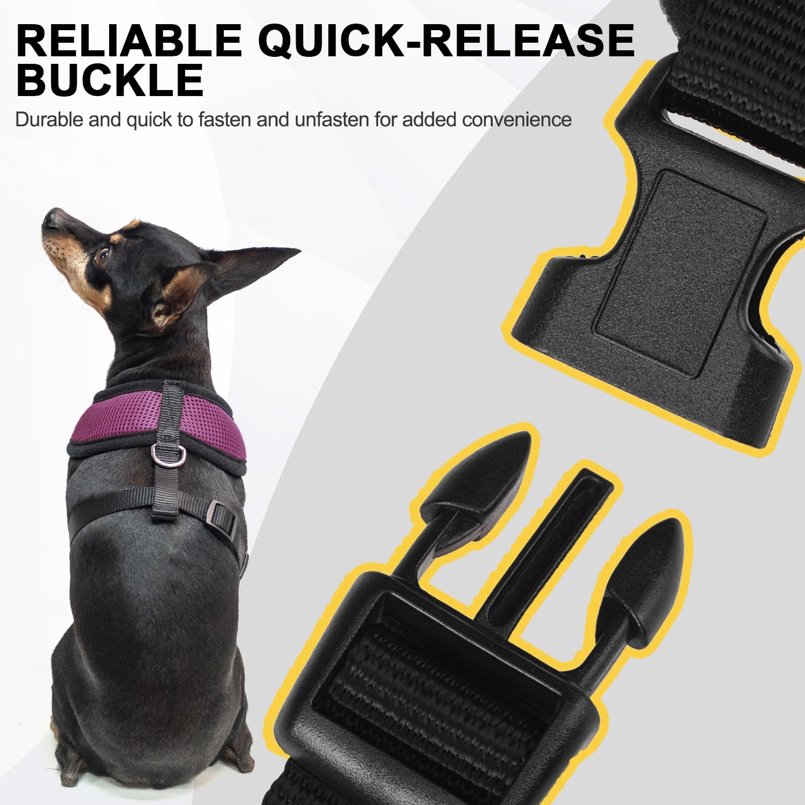 BINGPET Small Dog Harness - No Pull Adjustable Vest for X-Small Dogs, Breathable Mesh, Purple, Model BB5001C005