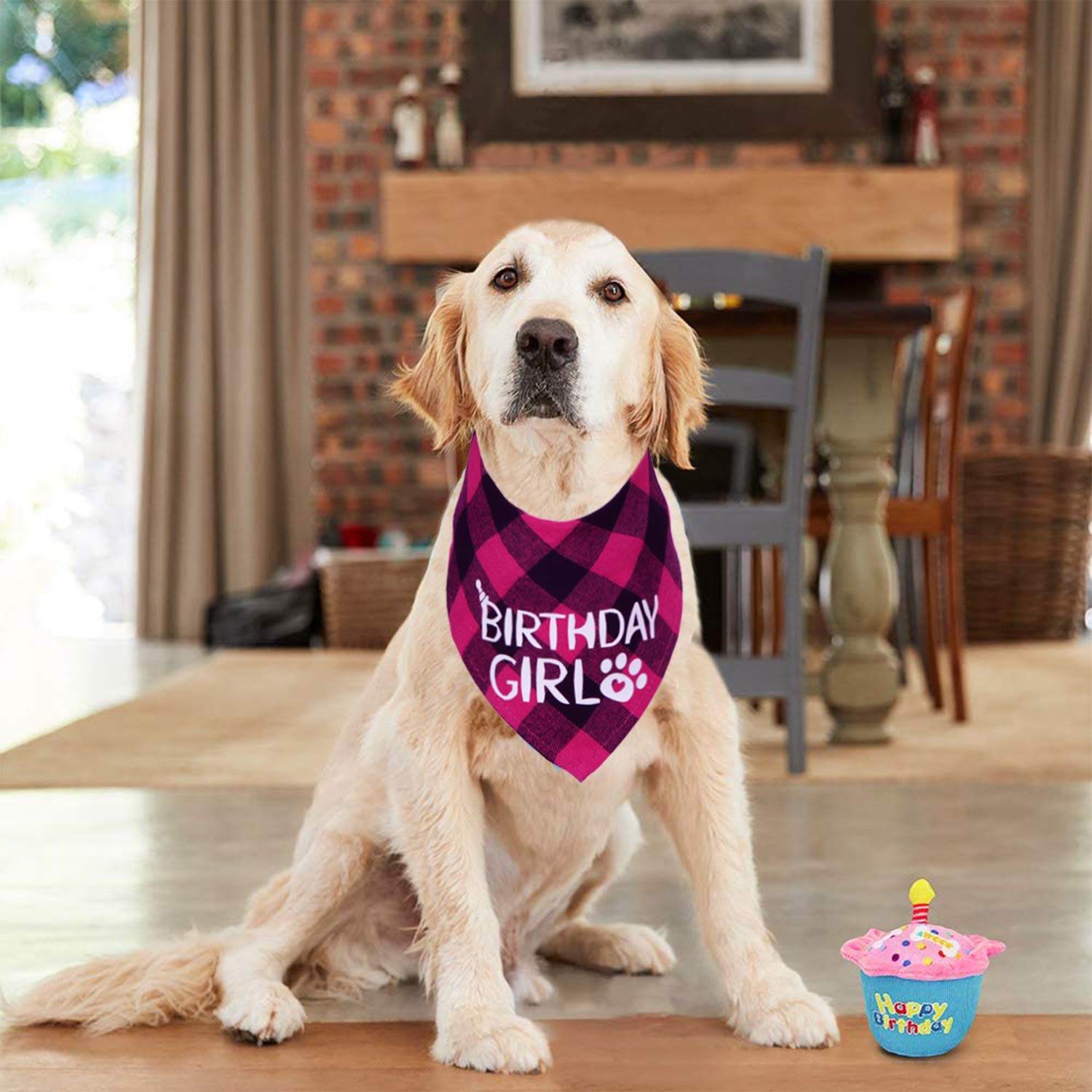 Stmk 2 Pack Dog Birthday Bandana, Dog Birthday Boy Girl Bandana Plaid Triangle Scarf For Dog Puppy Birthday Party Supplies