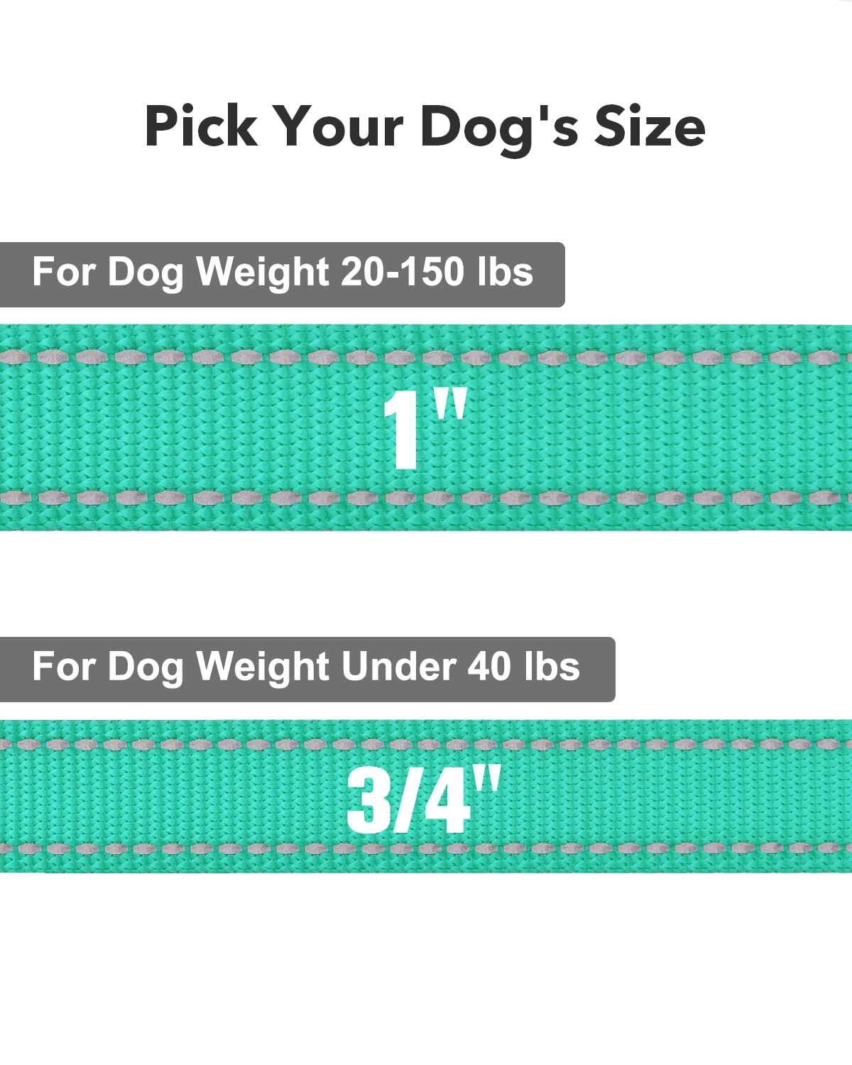 Taglory Nylon Dog Leash, 6ft Reflective with Soft Padded Handle, for Small Medium Dogs, Turquoise