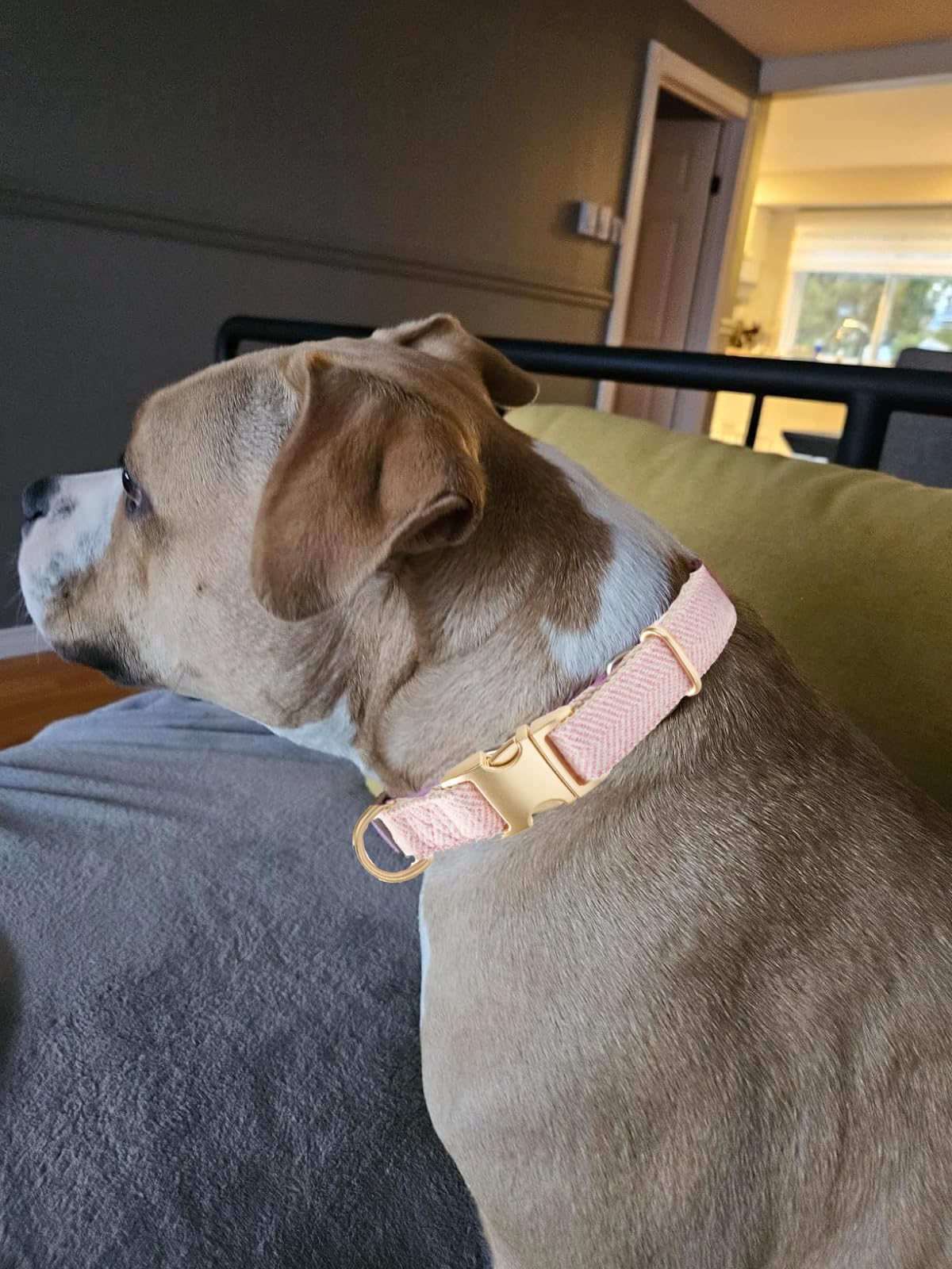 YUDOTE Soft Cotton Hemp Dog Collar with Metal Buckle Adjustable Twilled Dog Collars for Female Small Medium Large Dogs(Pink,Medi