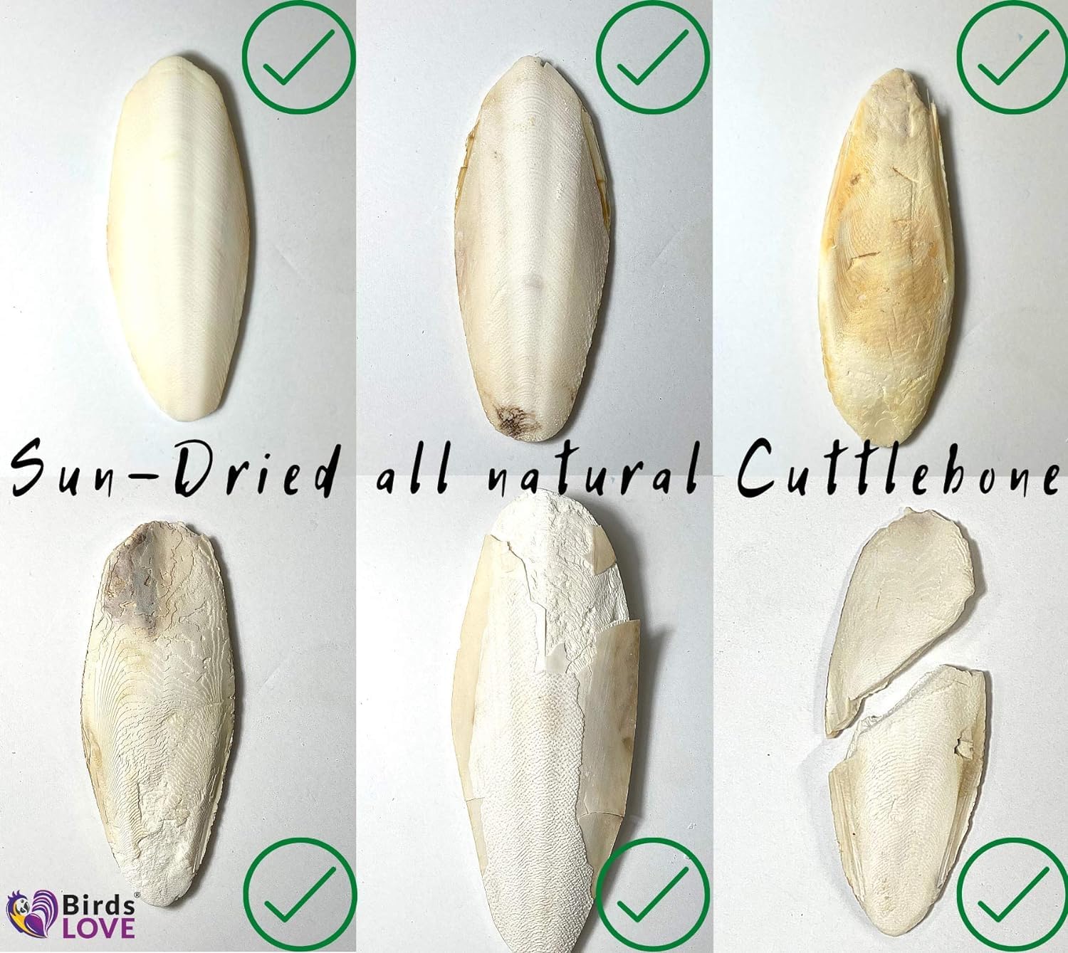 Birds LOVE Natural Cuttlebone - Premium Calcium for Cockatiel, Parrots, Tortoise, Snails, Crabs and Chinchillas - Pure Cuttlebon