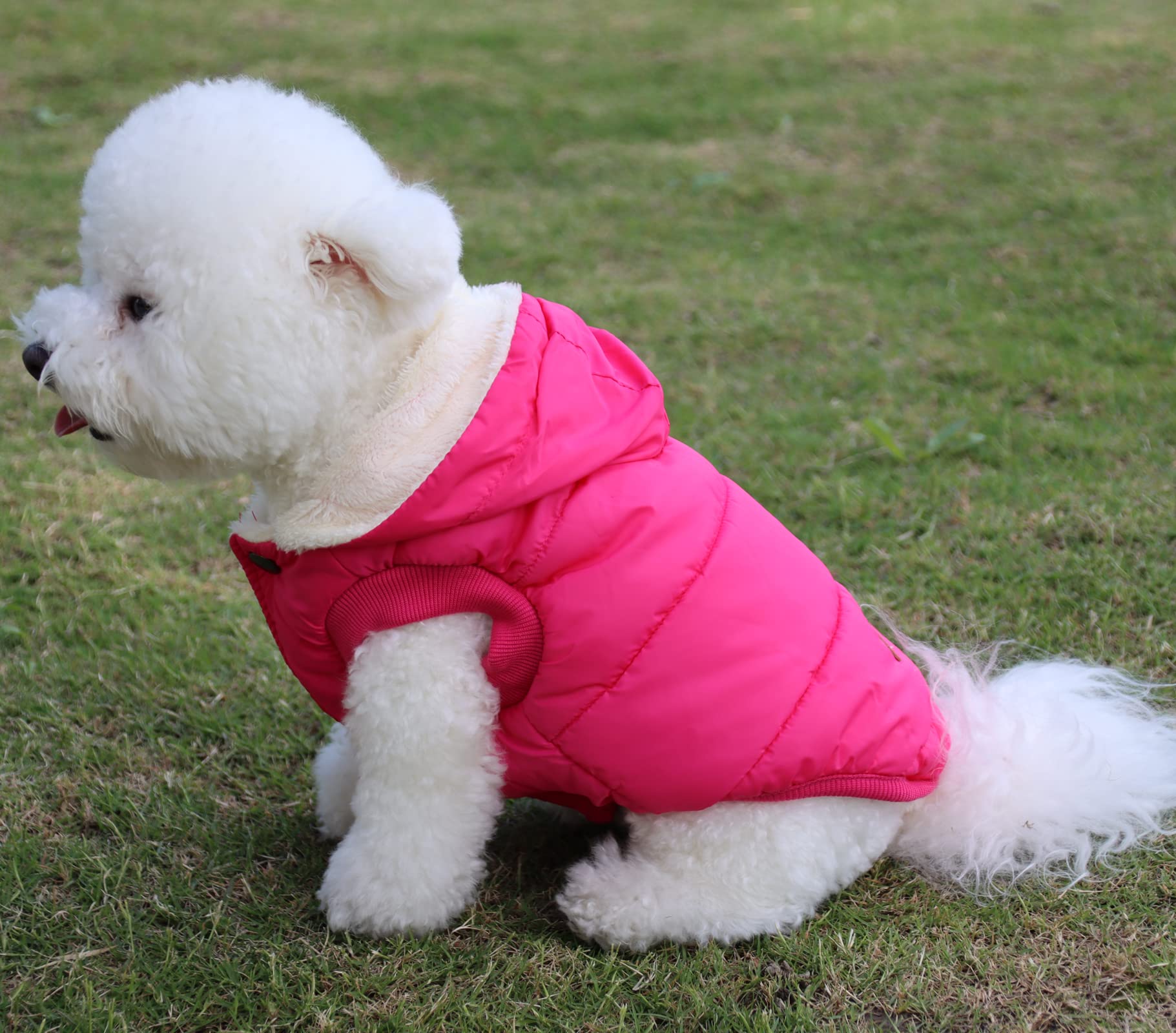 Vecomfy Fleece Lining Extra Warm Dog Hoodie In Winter,Small Dog Jacket Puppy Coats With Hooded Pink S