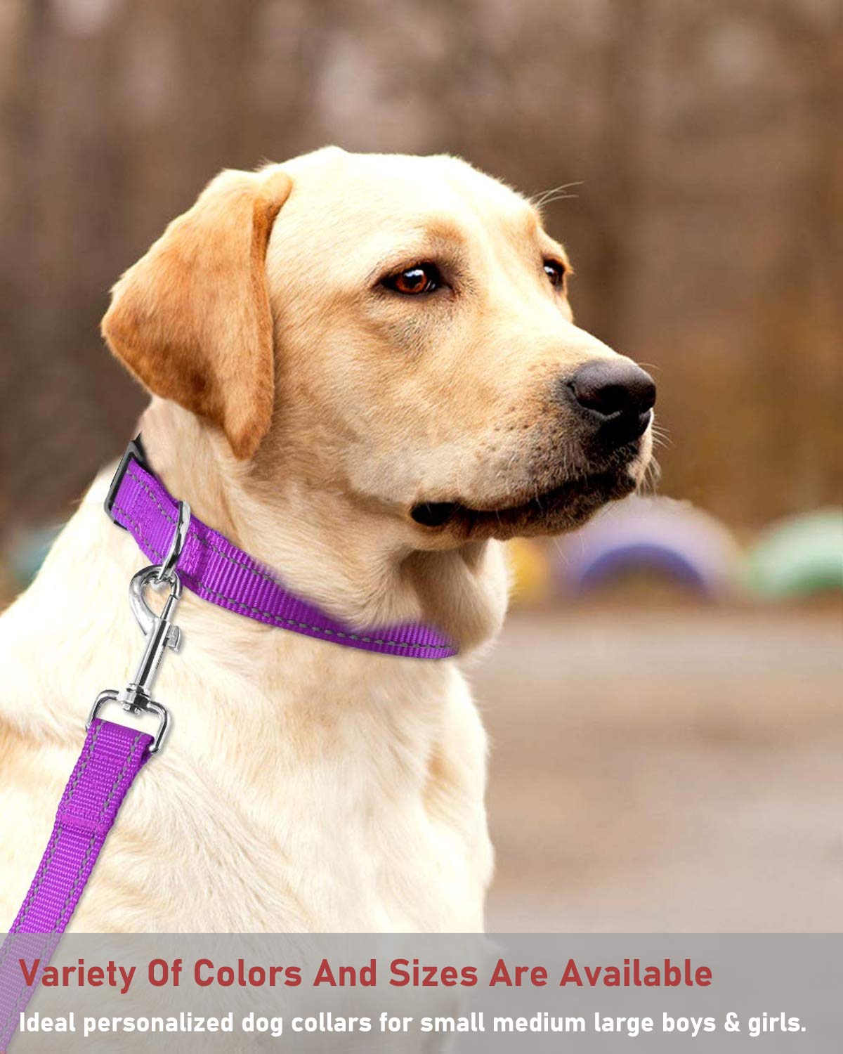 Reflective Dog Collar With Buckle Adjustable Safety Nylon Collars For Small Medium Large Dogs, Purple L