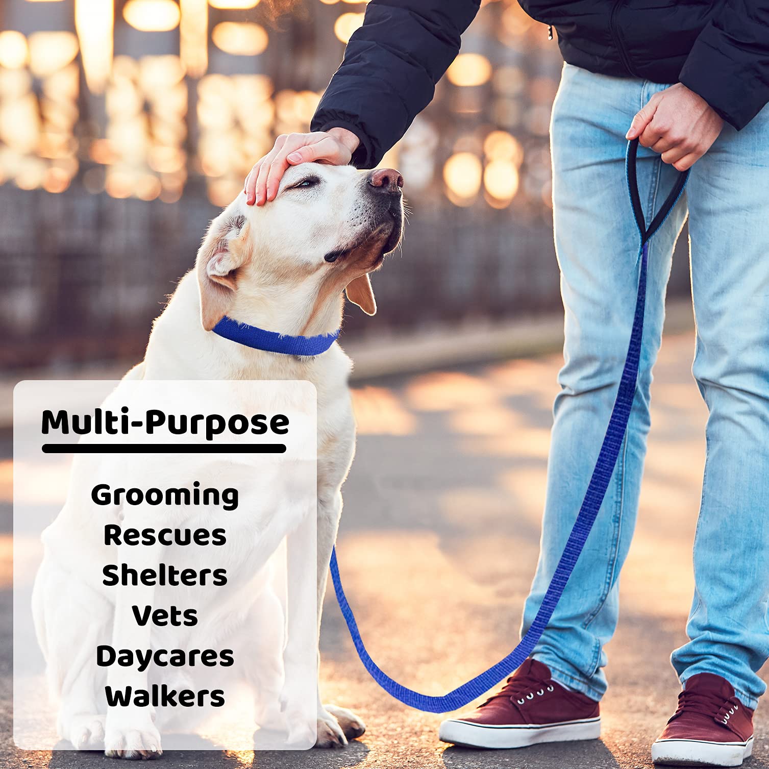 Downtown Pet Supply - 6Ft Dog Kennel Slip Lead Dog Leash - Veterinarian, Dog Grooming, Daycare & Animal Rescue Dog Supplies - One Size Leads For Dogs Bulk - 1' Thick - 12 Pack