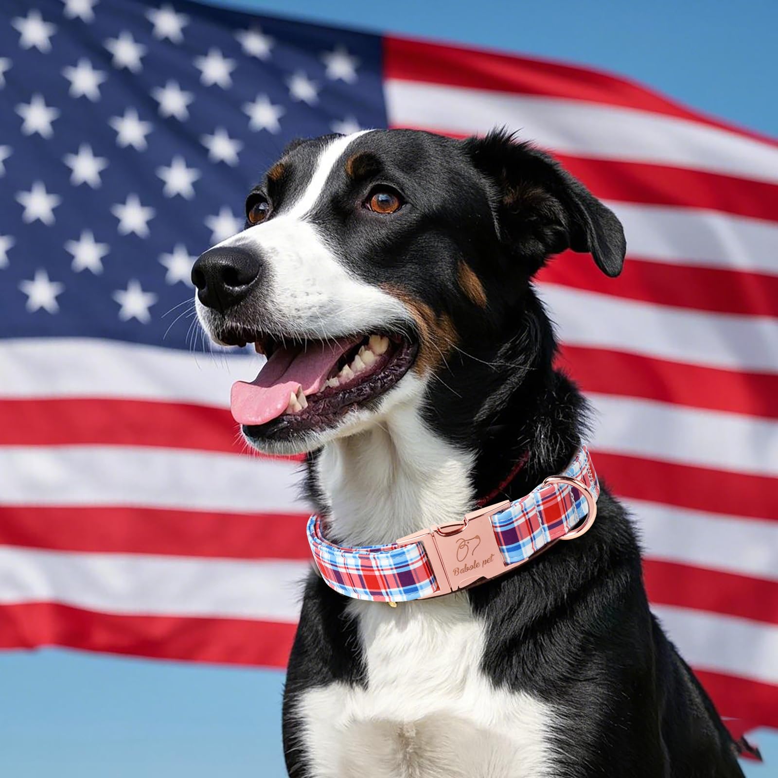 Babole Pet Adjustable Plaid Boy Dog Collar - Classic Boy Dog Plaid Collars For Puppy & Tiny Dogs, Durable Red White Blue Heavy D