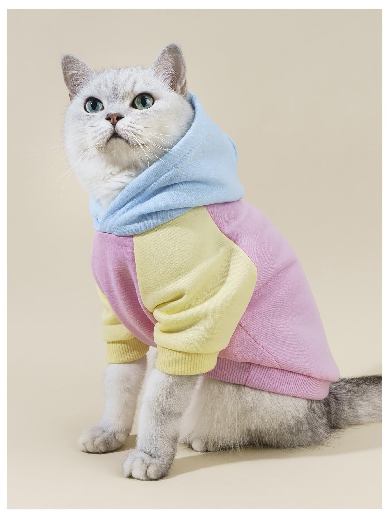 Qwinee Basic Dog Hoodie & Cat Apparel - Dog & Cat Warm Jacket, Shirt & Clothes - Puppy & Kitten Sizes - Pink X-Large