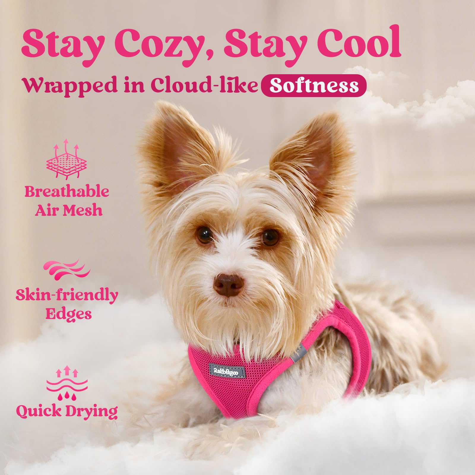 Rabbitgoo Small Dog Harness, Step-In Soft Mesh Puppy Vest, Easy Walk With Safety Buckle, Breathable Reflective Pet Harness For S