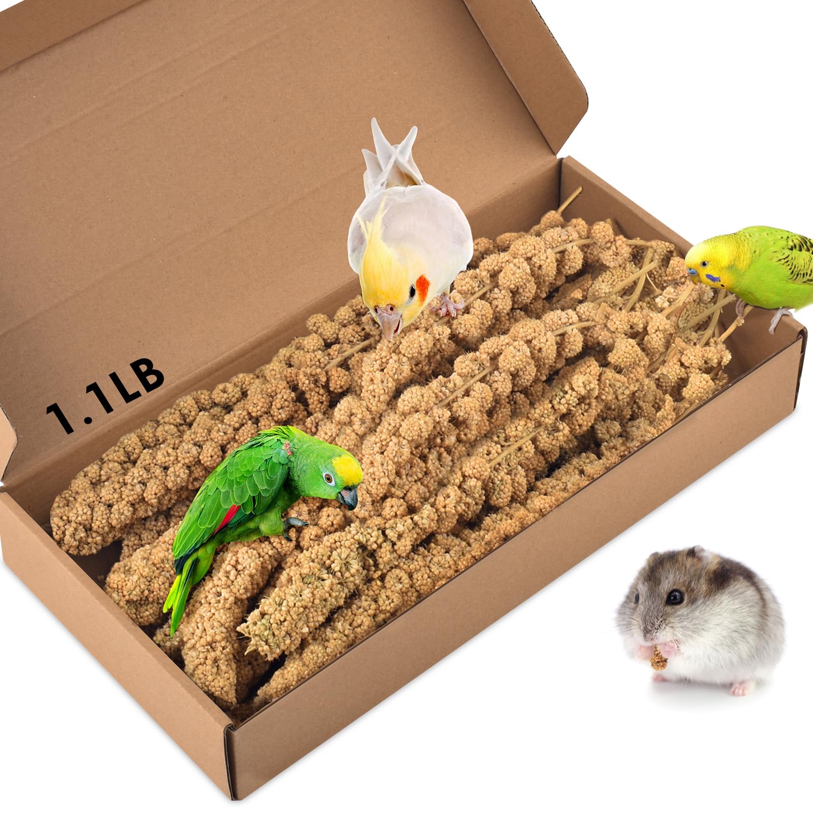 KATUMO 1.1LB Spray Millet Treat for Birds, Natual Sun-Dried Bird Millet Parrot Food for Parakeet Budgie Cockatiel Finches Lovebi