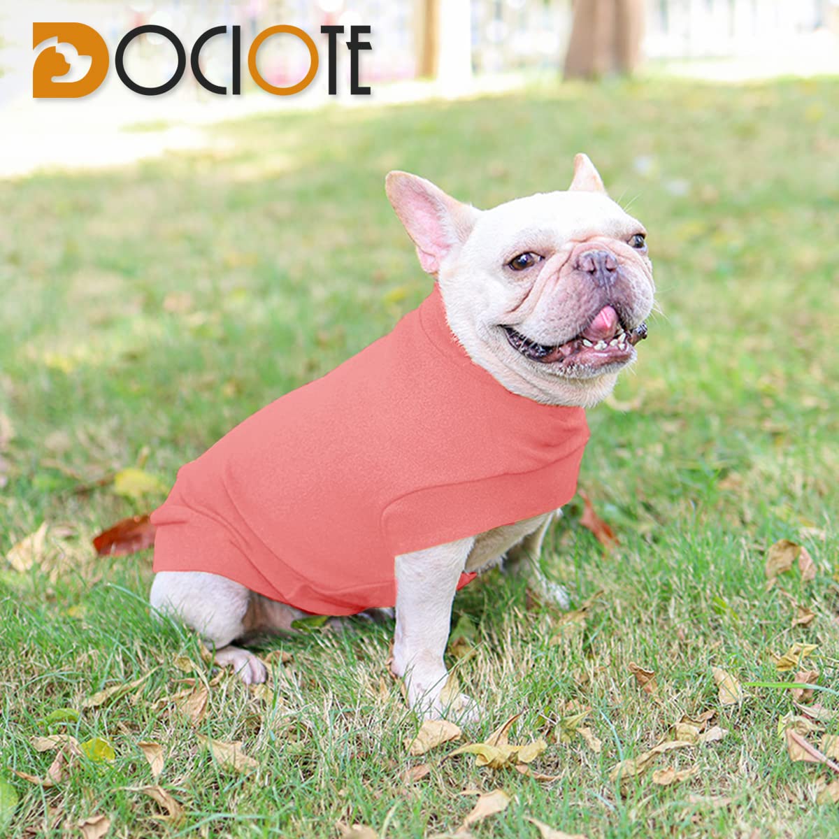 Small Dogs Fleece Dog Sweatshirt - Cold Weather Hoodies Spring Soft Vest Thickening Warm Cat Sweater Puppy Clothes Sweater Winter Sweatshirt Pet Pajamas For Small Dog Cat Puppy (Small, Red)