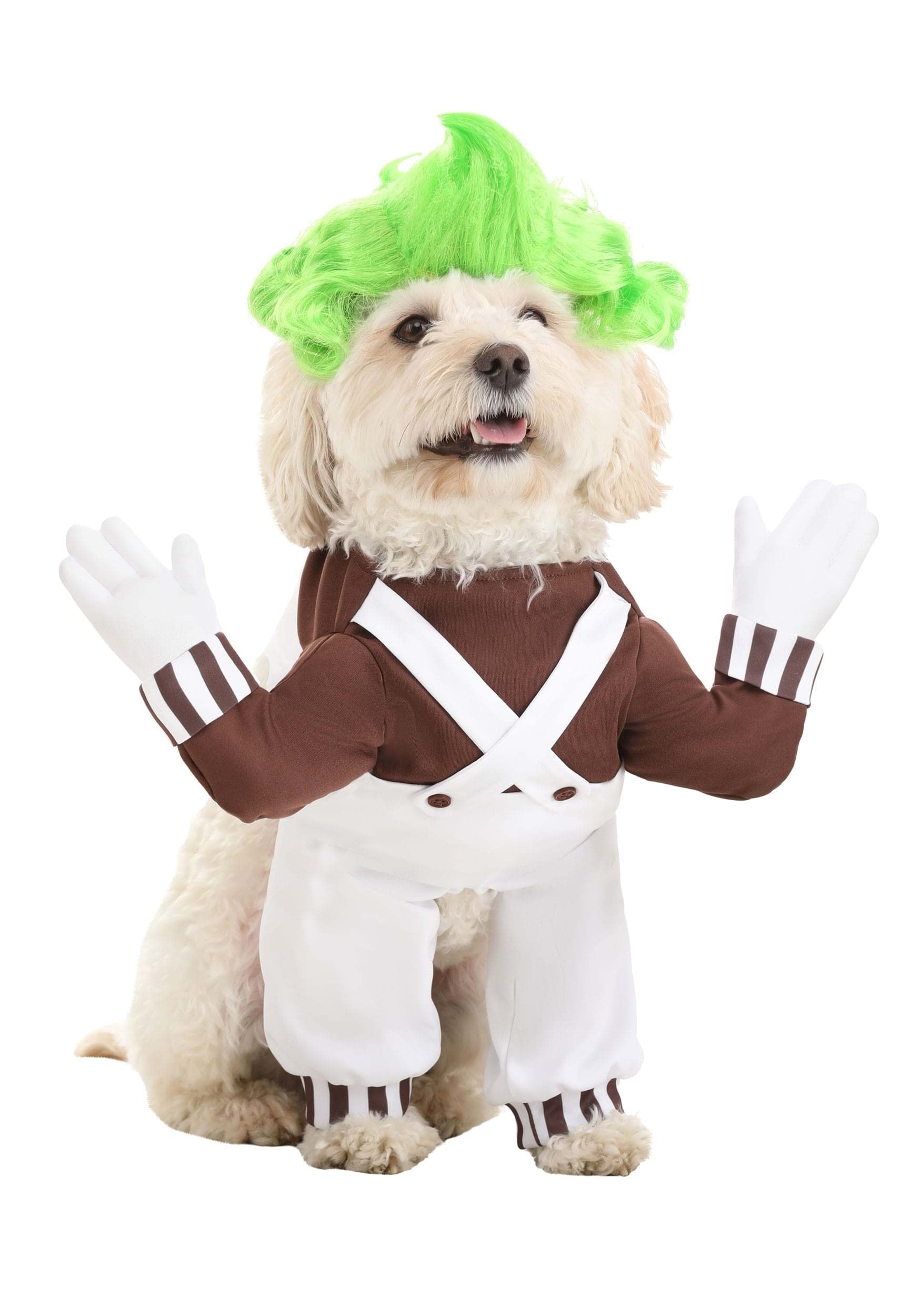 Fun Costumes - Willy Wonka Pet's Oompa Loompa for Dogs and Cats, Chocolate Factory Worker Costume for Pets S