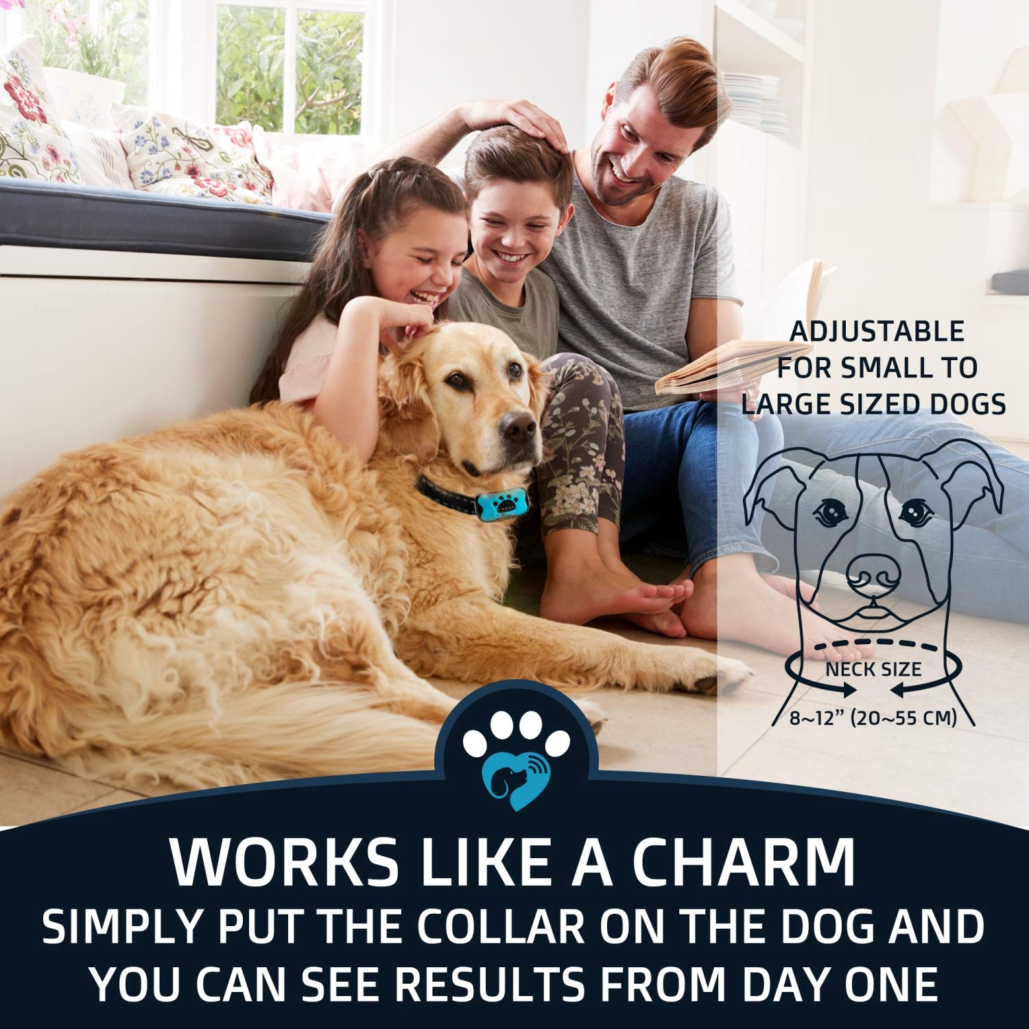 Pawpets Anti Bark Collar - No Shock Training Dog Collar - Humane With Vibration And Sound Barking Collar For Small Medium Large Dogs 5-100Lbs - 2 Pack Blue Orange (Battery)