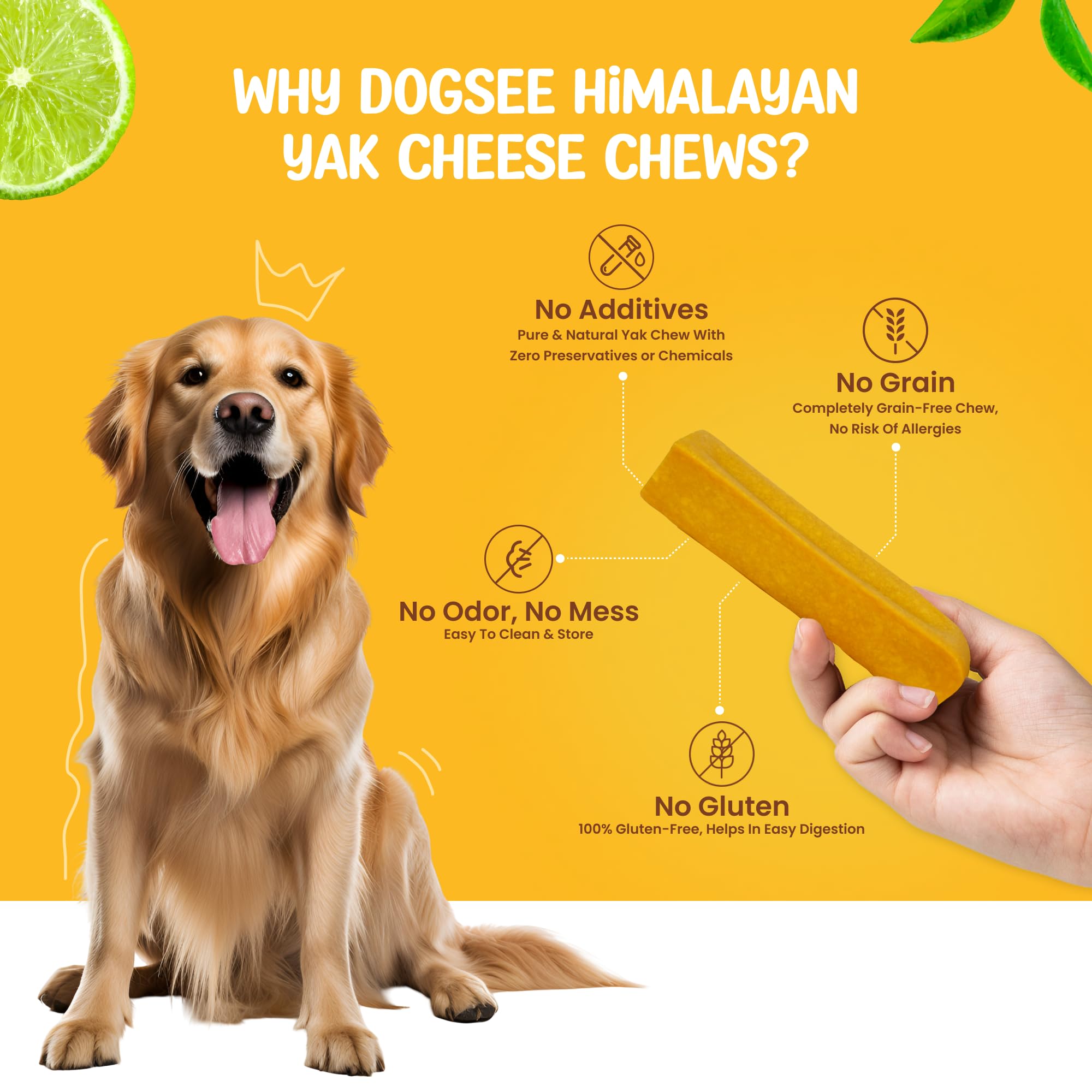 Dogsee Yak Cheese Chews for Dogs - Large 1lb Pack of 4 with Turmeric - Hip & Joint Health, Dental Care, Goldenrod Color