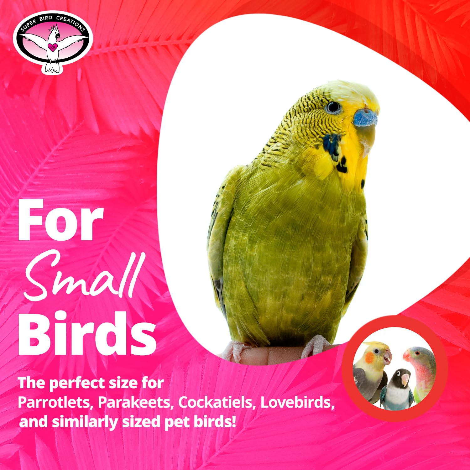 Super Bird Creations Sb516 Mini Rainbow Bridge Bird Toy, Small Bird Size, 9' X 2'