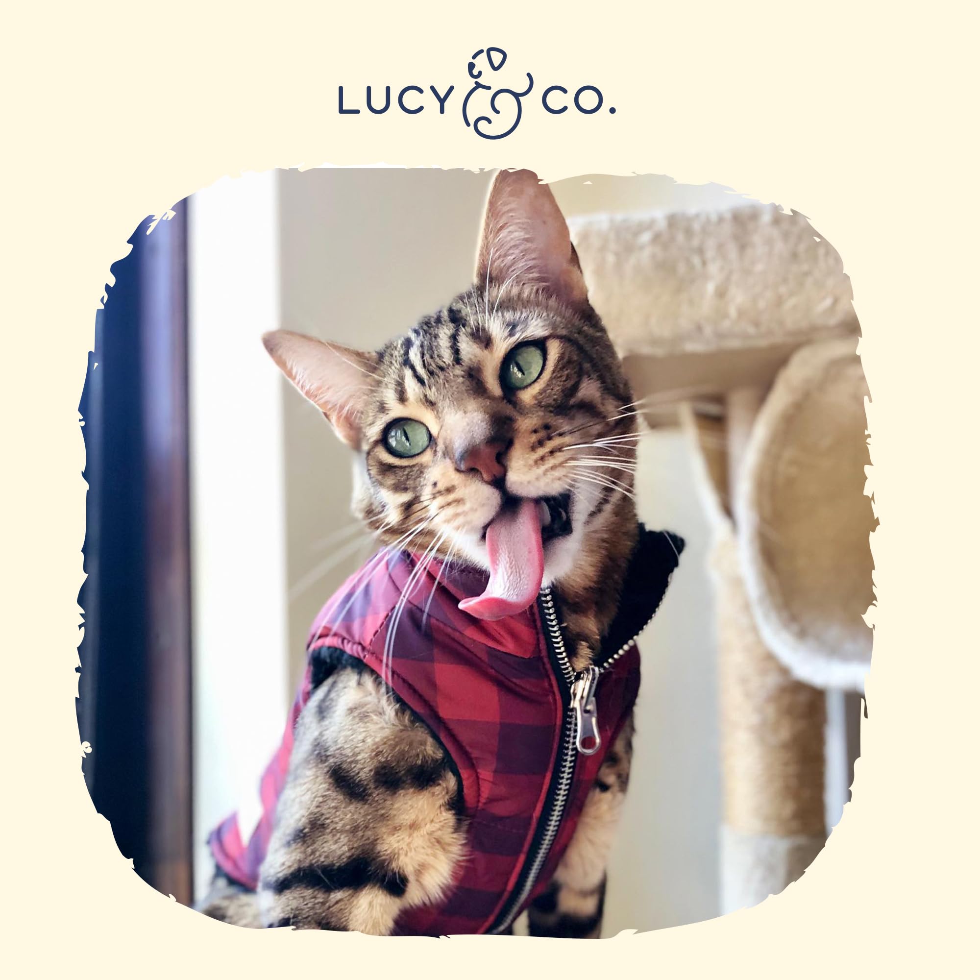 Lucy & Co. The Holly Jolly Reversible Teddy Puffer Vest (Pets) For Small Dogs, Medium Dogs And Large Dogs - Large - Red Black Te