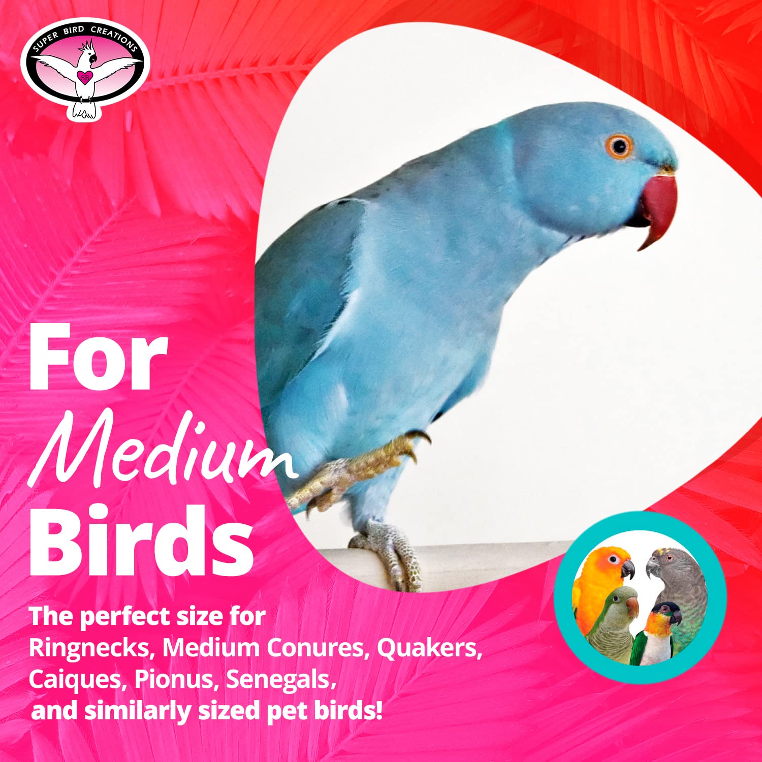 Super Bird Creations Sb611 Beakwhich Bird Toy - Interactive, Engaging Play Accessory, Ideal For Medium-Sized Parrots, Perfect Fo
