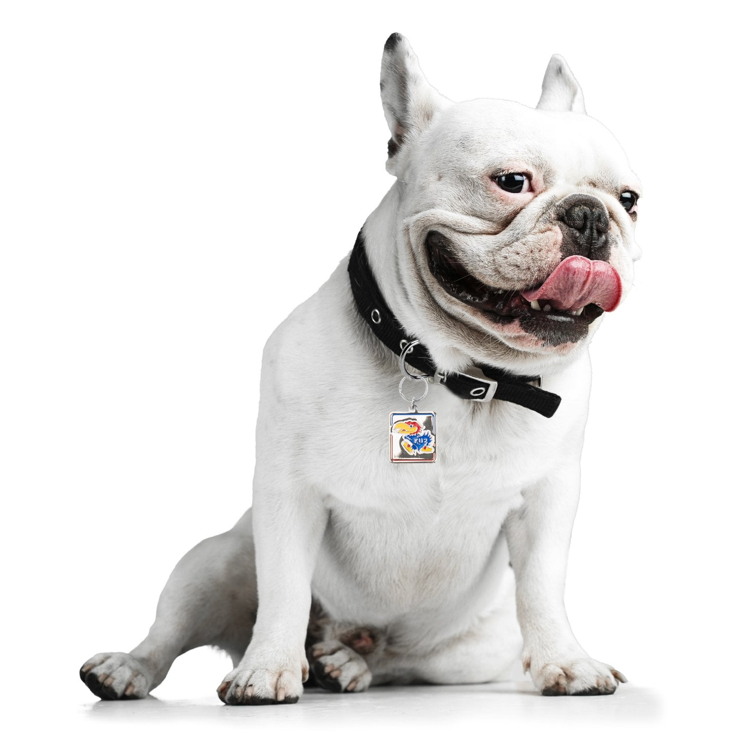 Little Earth Ncaa Kansas Jayhawks Pet Collar Charmncaa Pet Collar Charm, Silver, 1.25' By 1.325'
