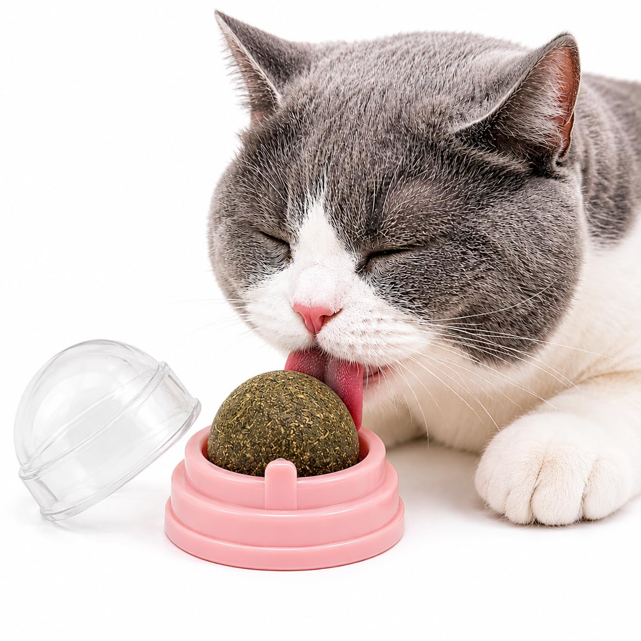 Paw N Pet Catnip Ball Toy For Cats | Interactive Rotatebale Catnip For Chewing & Teething Edible Licking, Playtime & Stress Reli