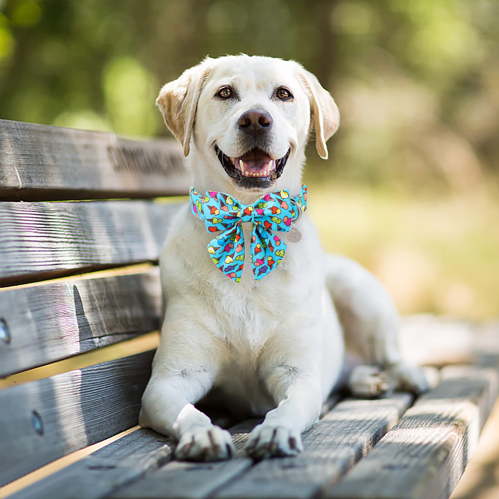 Up Urara Pup Summer Dog Collar With Bow Tie, Cotton Cute Bowtie, Comfortable Blue Collar With Metal Buckle, Xl, Neck 16-26In