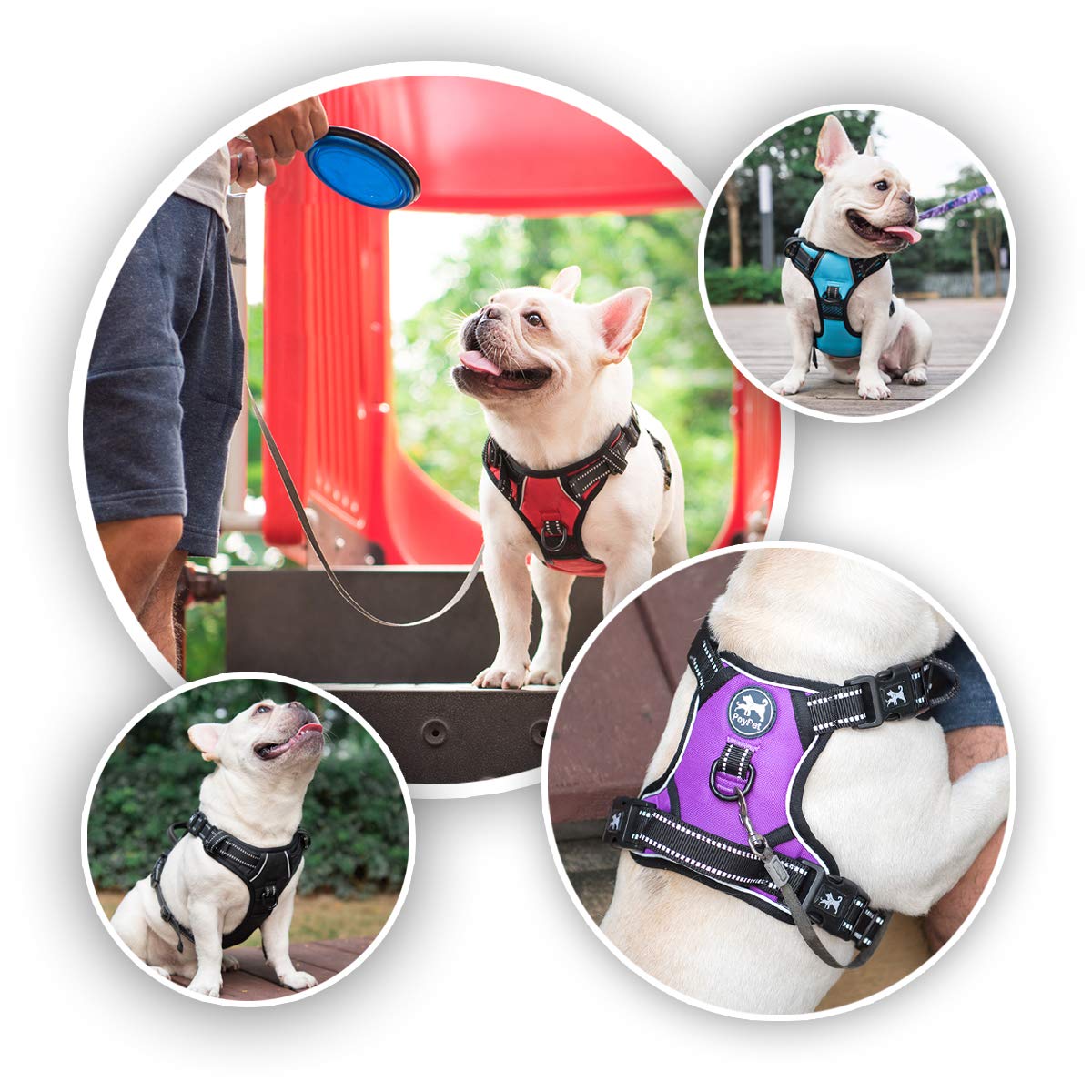 Poypet 2019 Upgraded No Pull Dog Harness With 4 Snap Buckles, Reflective With Front & Back 2 Leash Hooks And An Easy Control Handle [No Need Go Over Dog’S Head] (Purple,S)