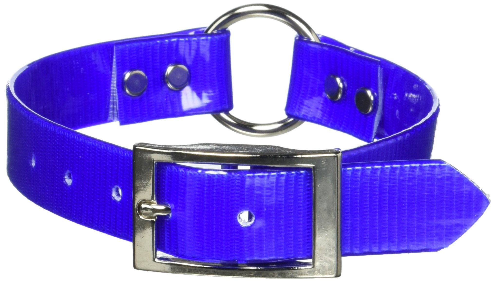 Omnipet Sunglo Ring-In-Center Dog Collar, 1' Wide, Blue, Fits 14.5'- 18' Neck Sizes, Vibrant Colors & Tough Construction For