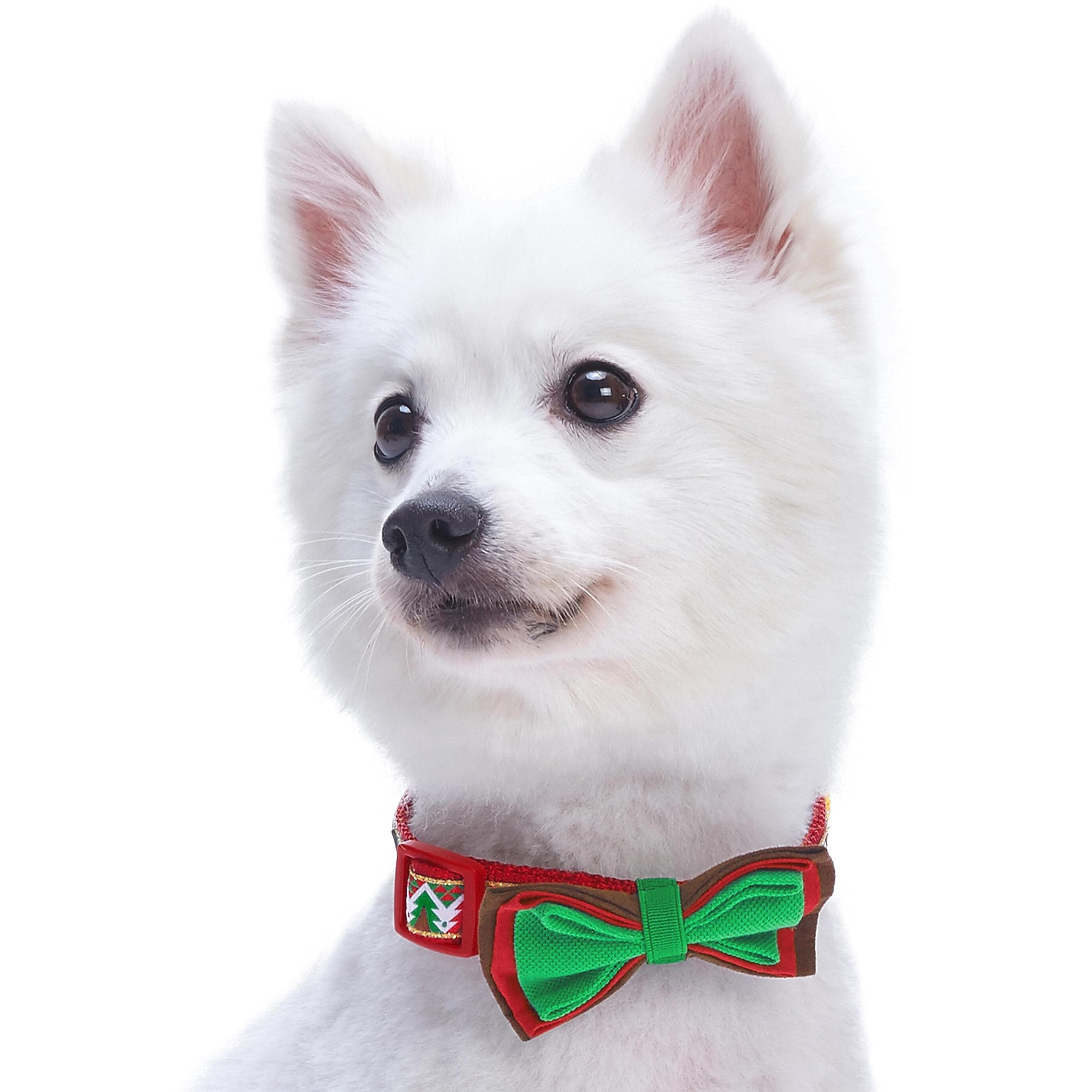 Blueberry Pet 4 Patterns Christmas Charm Breezy Trees Adjustable Dog Collar With Detachable Bow Tie, Small, Neck 12'-16'