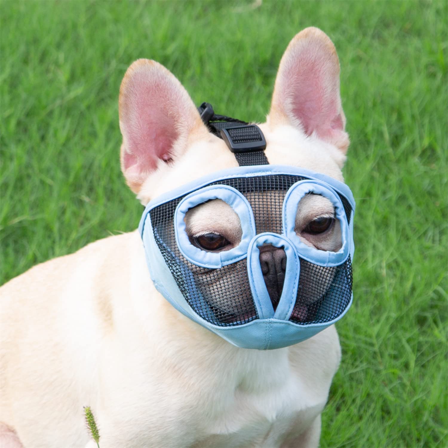 Jyhy Short Snout Dog Muzzles- Adjustable Breathable Mesh Bulldog Muzzle For Biting Chewing Licking Grooming Dog Mask,Blue Xl