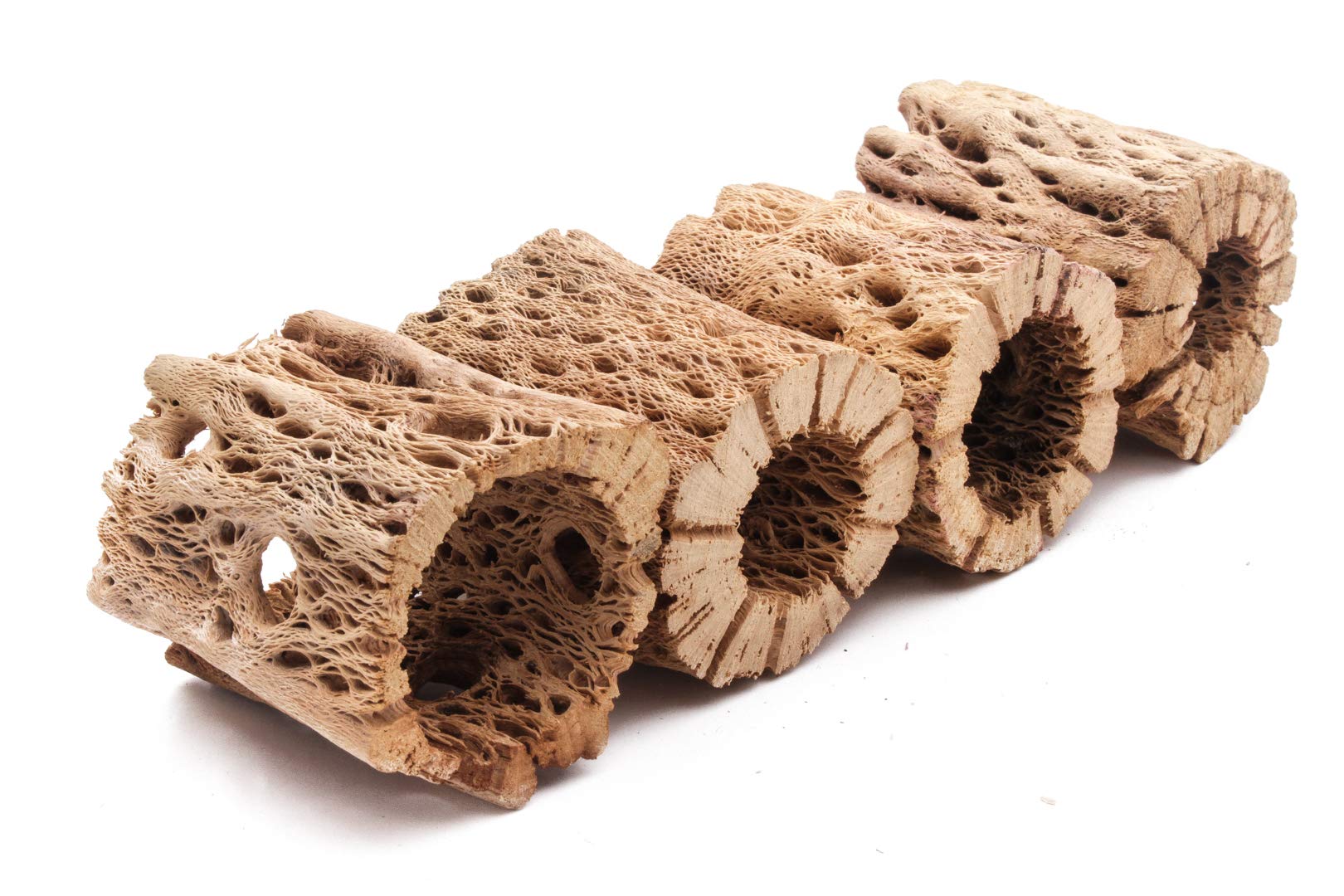 3, 6, 9, 12 Inch All Natural Teddy Bear Cholla Wood Extra Hollow Untreated Organic Aquarium Driftwood Decoration Chew Toy Shrimp