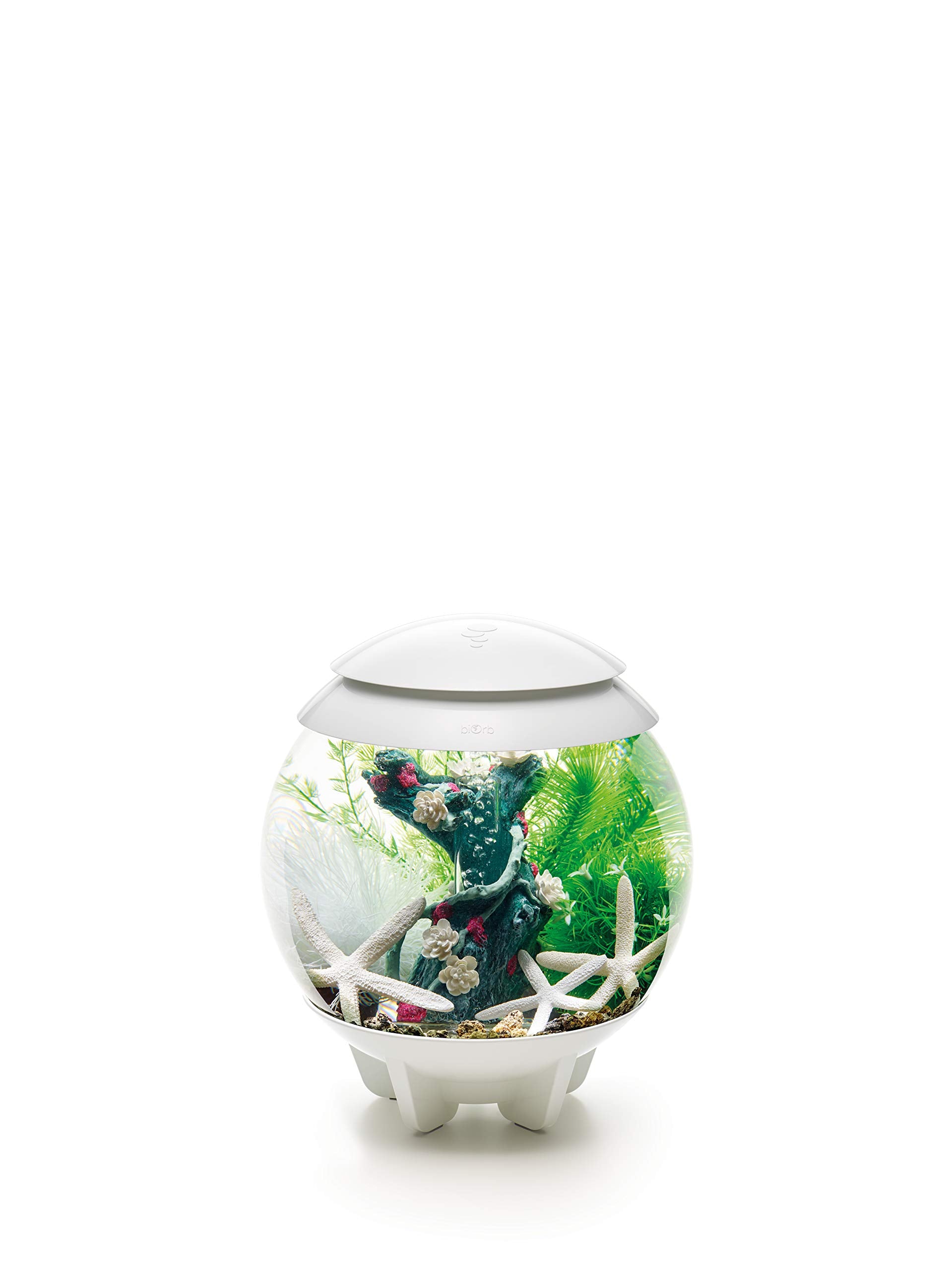 Biorb Decor Set – 15L Flower Garden