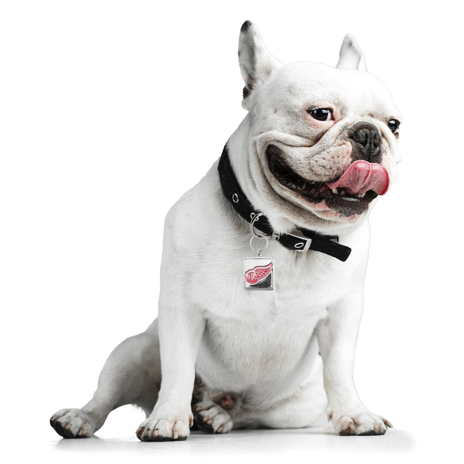 Little Earth Nhl Detroit Red Wings Pet Collar Charmnhl Pet Collar Charm, Silver, 1.25' By 1.325'