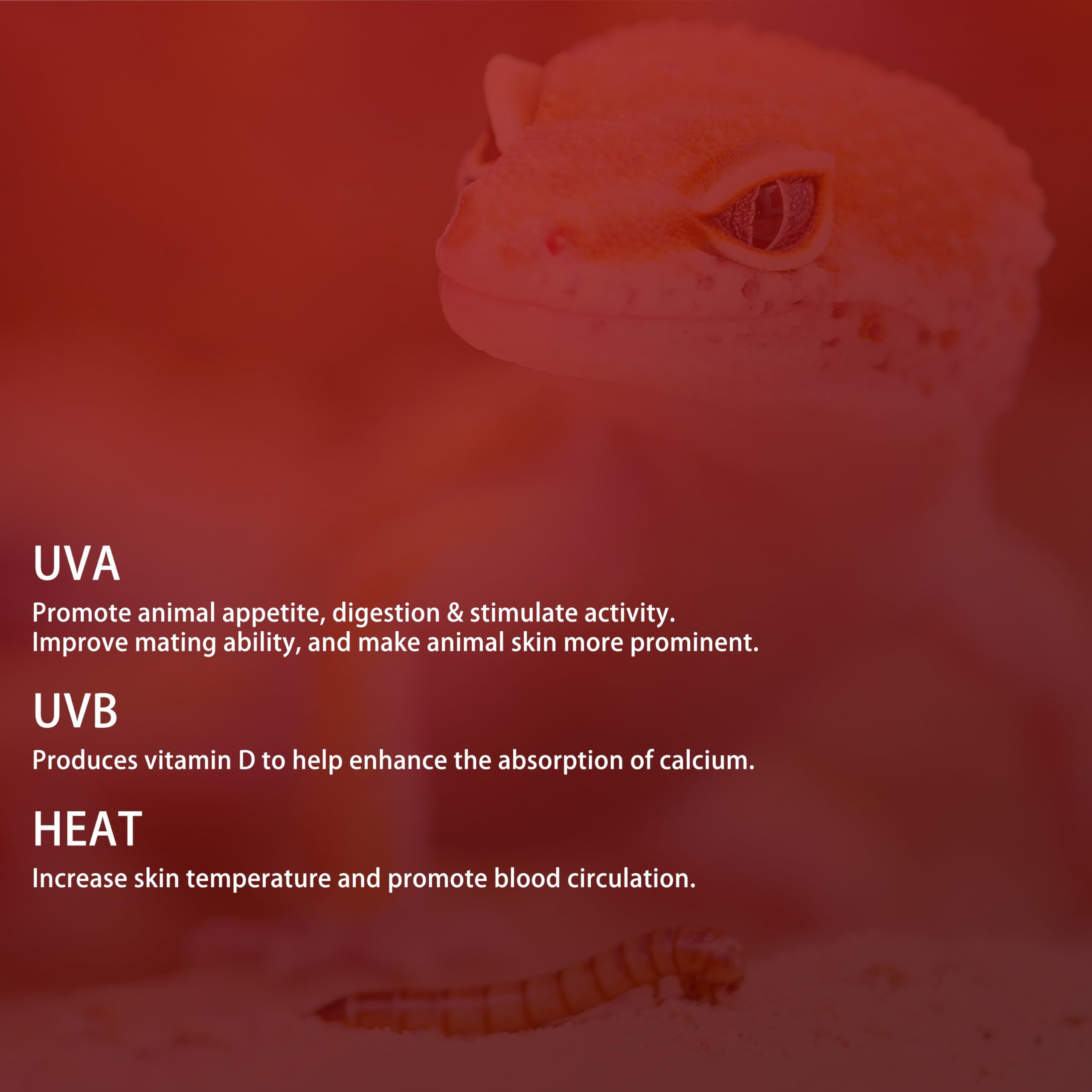 ExoRepti 3 Pack G9 Infrared Heat Lamp Bulbs for Reptile, Dimmable Night Red UVA Reptile Heat Lamp, 2 Pin Base Mini Reptile Light