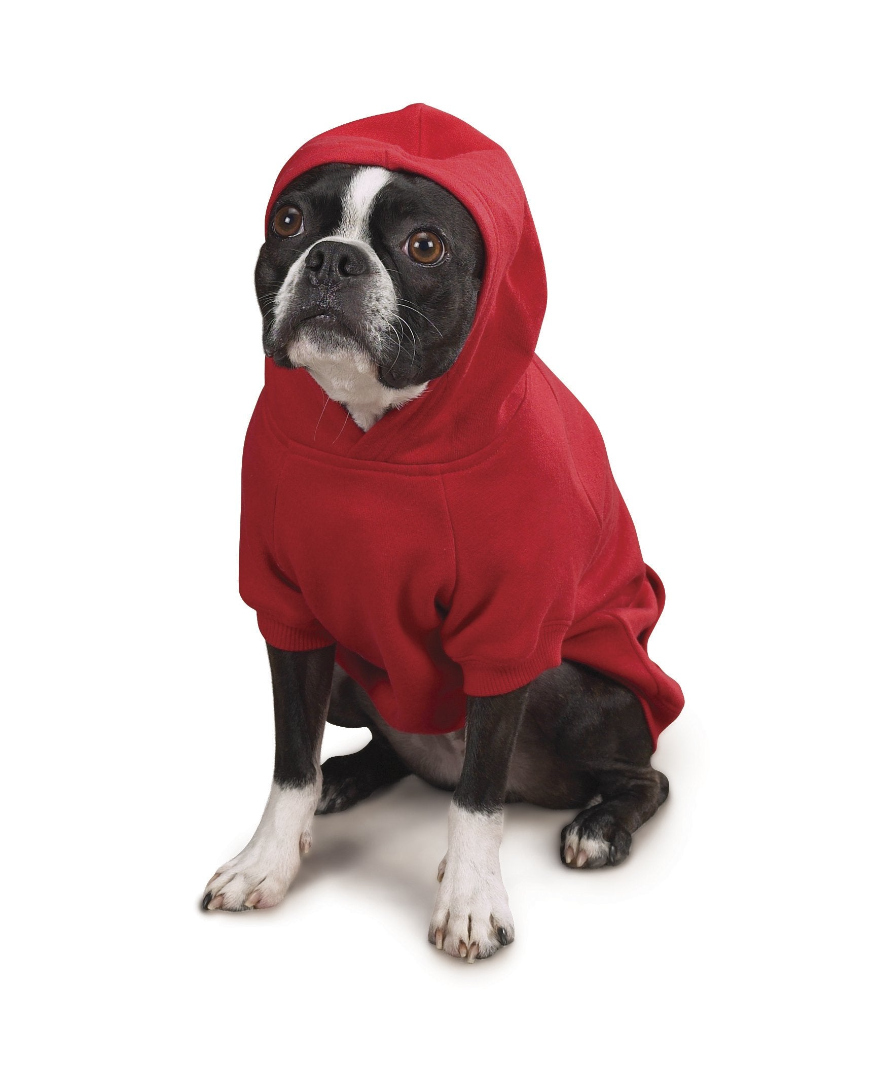 Zack & Zoey Basic Hoodie For Dogs, 12' Small, Tomato Red